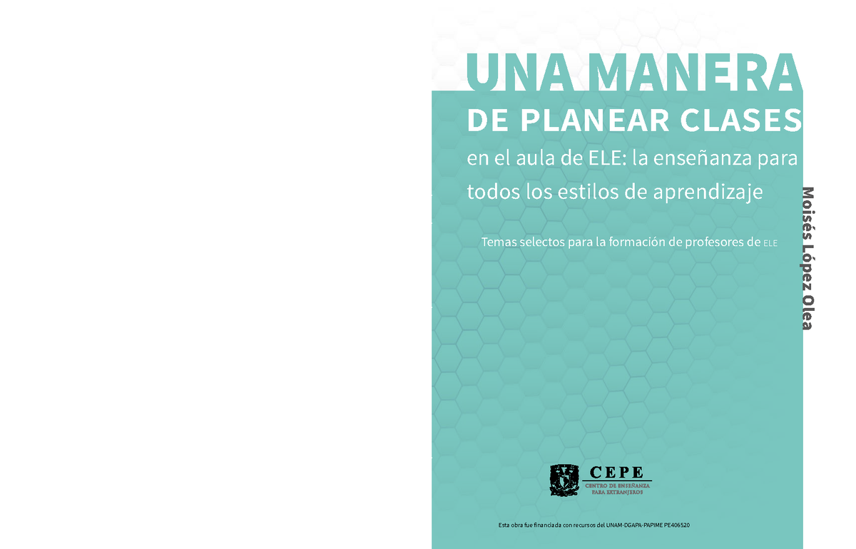 Guía para la Planeación de Clases en el Aula de ELE: Estilos de ...