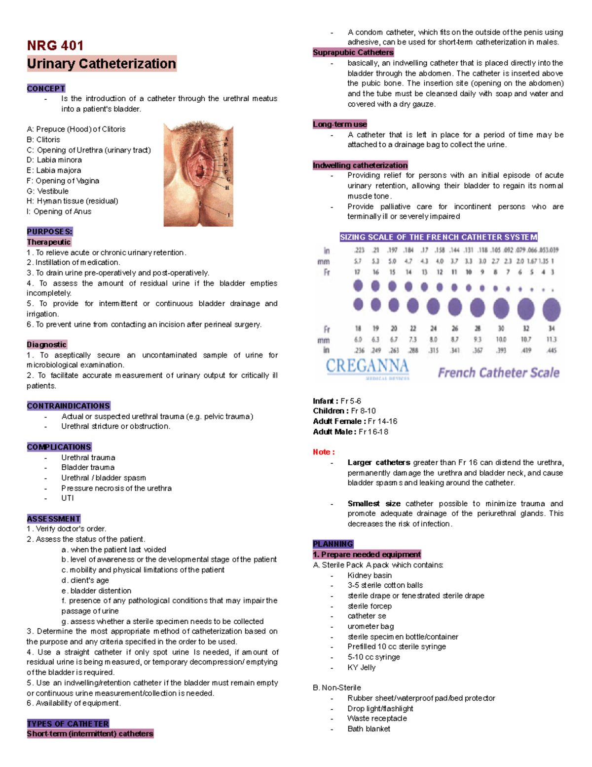 NRG 401 Lecture Notes: Urinary Catheterization Overview - Studocu