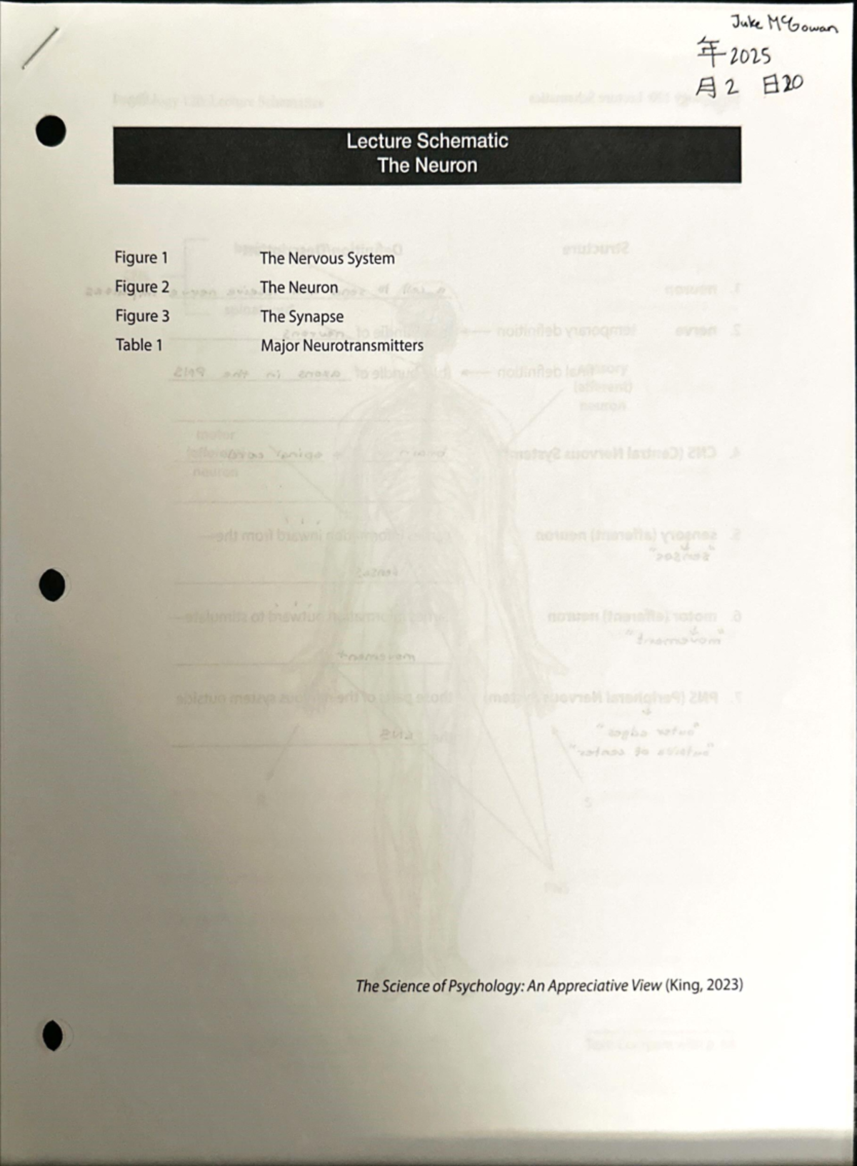 Psychology 120: Lecture Notes on The Neuron & Nervous System - Studocu