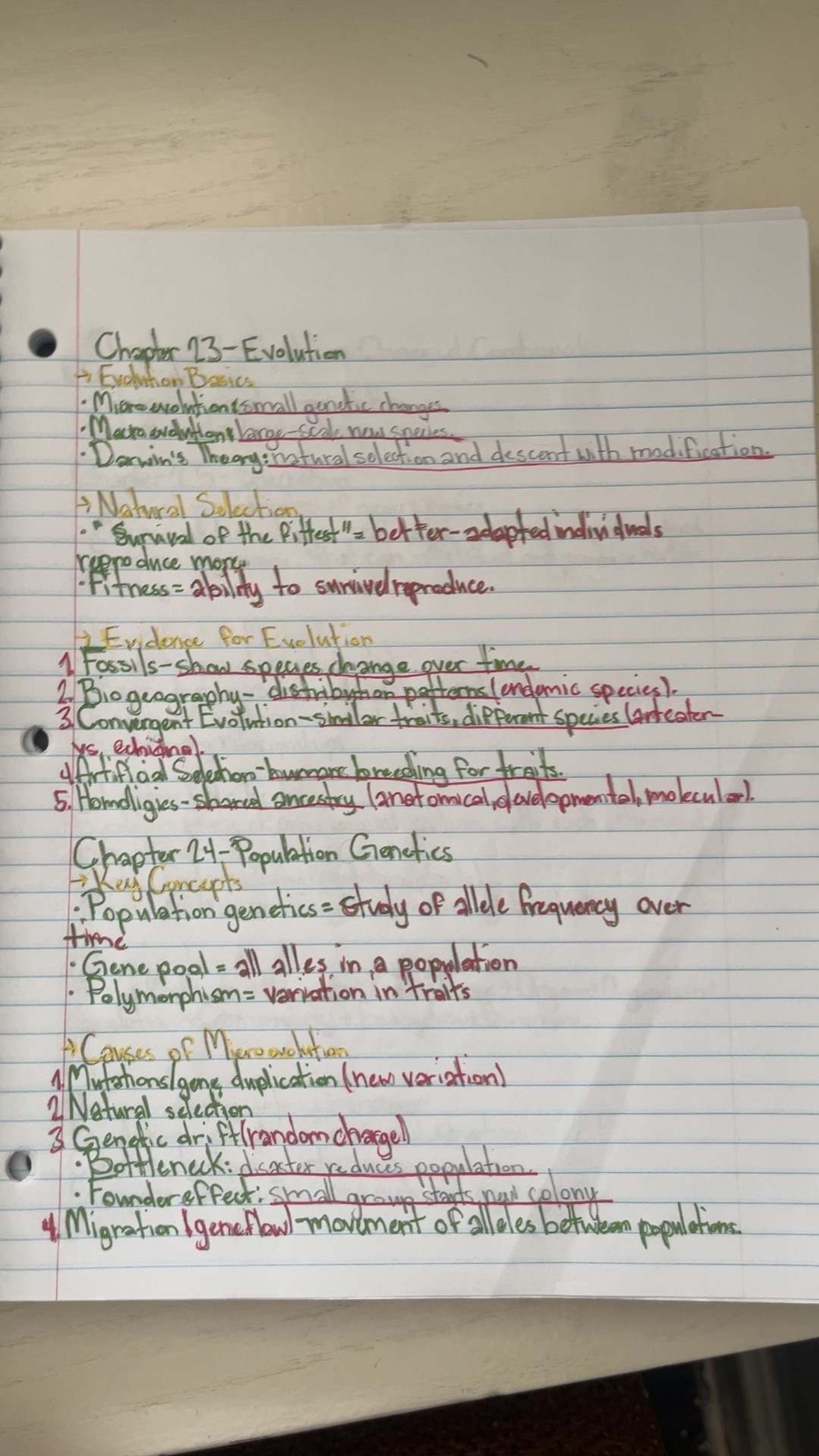 Biology Chapter 23 - Evolution Basics and Genetic Changes Notes - Studocu