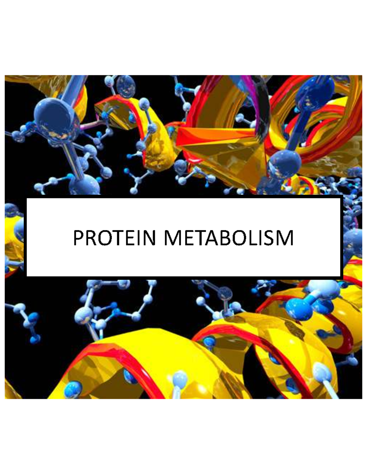 NUT1 - Protein Metabolism: Understanding Amino Acids and Their ...