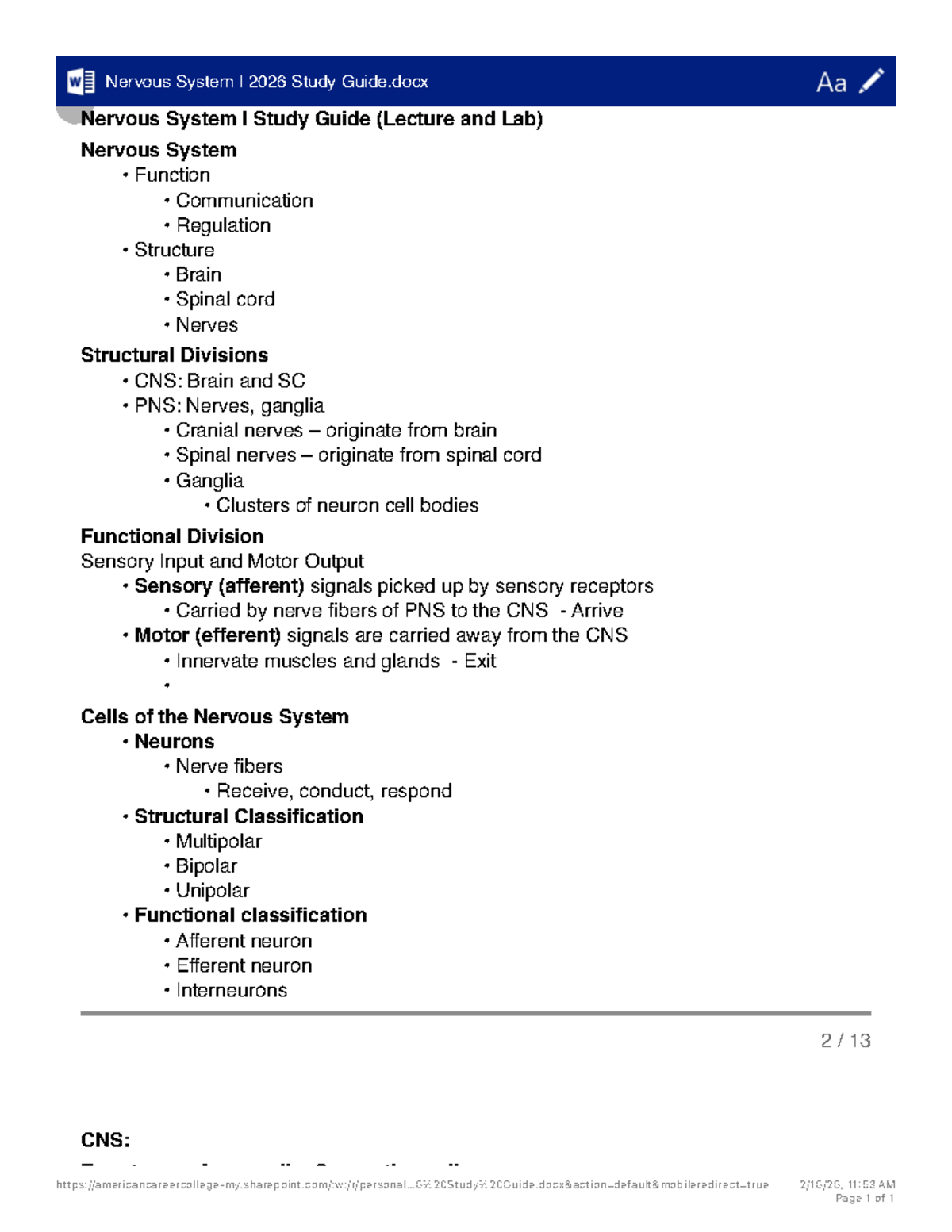 Nervous System I Study Guide (Lecture and Lab) - Studocu