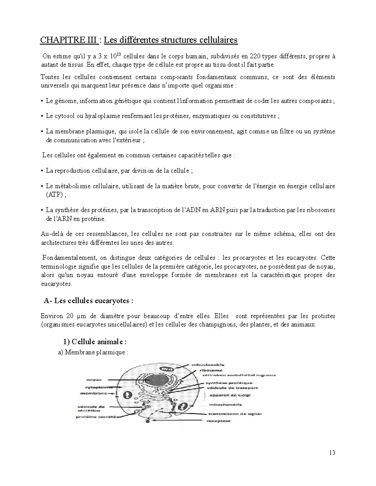 Chap 3 BIO C : Structures et Fonctions des Cellules - Studocu