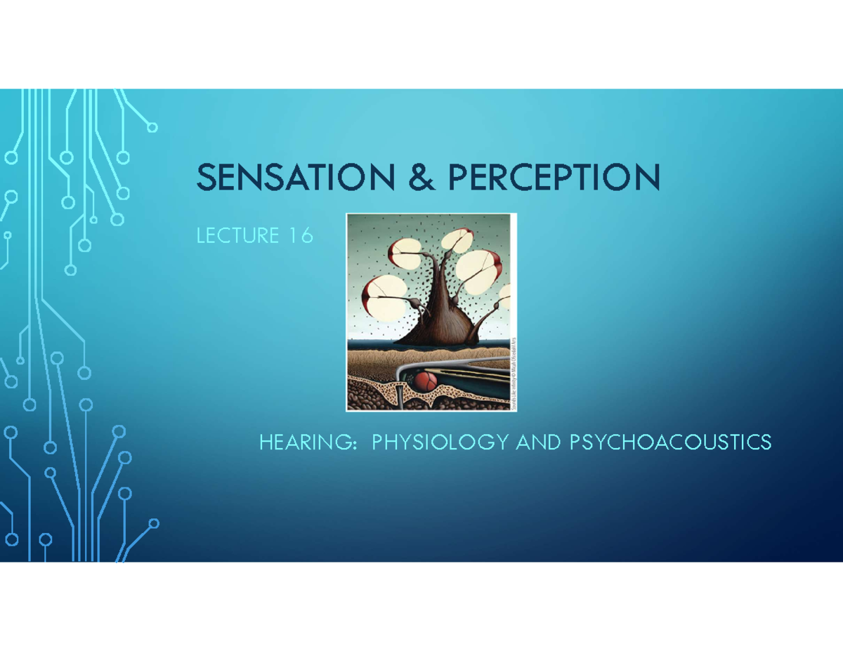 Psych 384 Lecture 16: Hearing - Physiology and Psychoacoustics Overview ...
