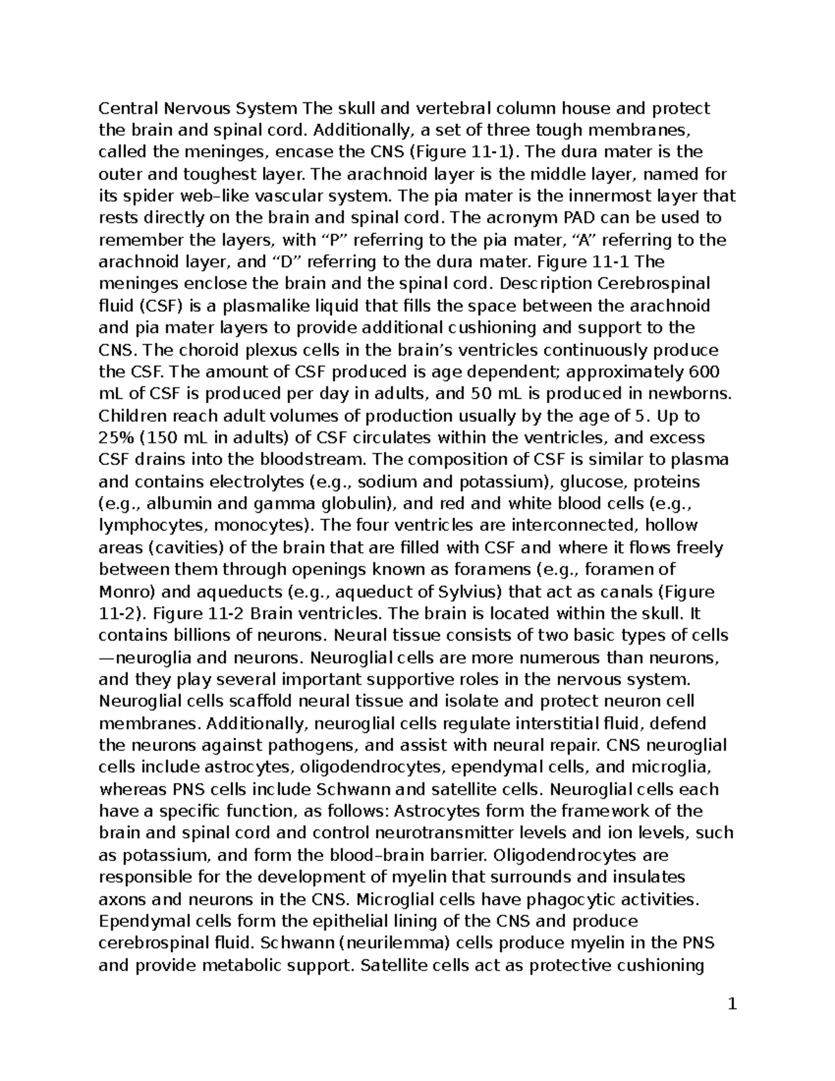 Midterm Study Guide – Course Code [Insert Course Code Here] - Central ...