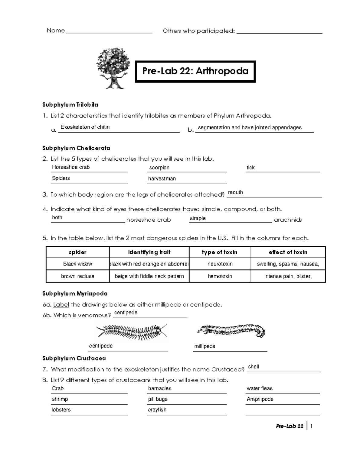 22a Prelab: Characteristics of Arthropoda Subphylum Trilobita and ...