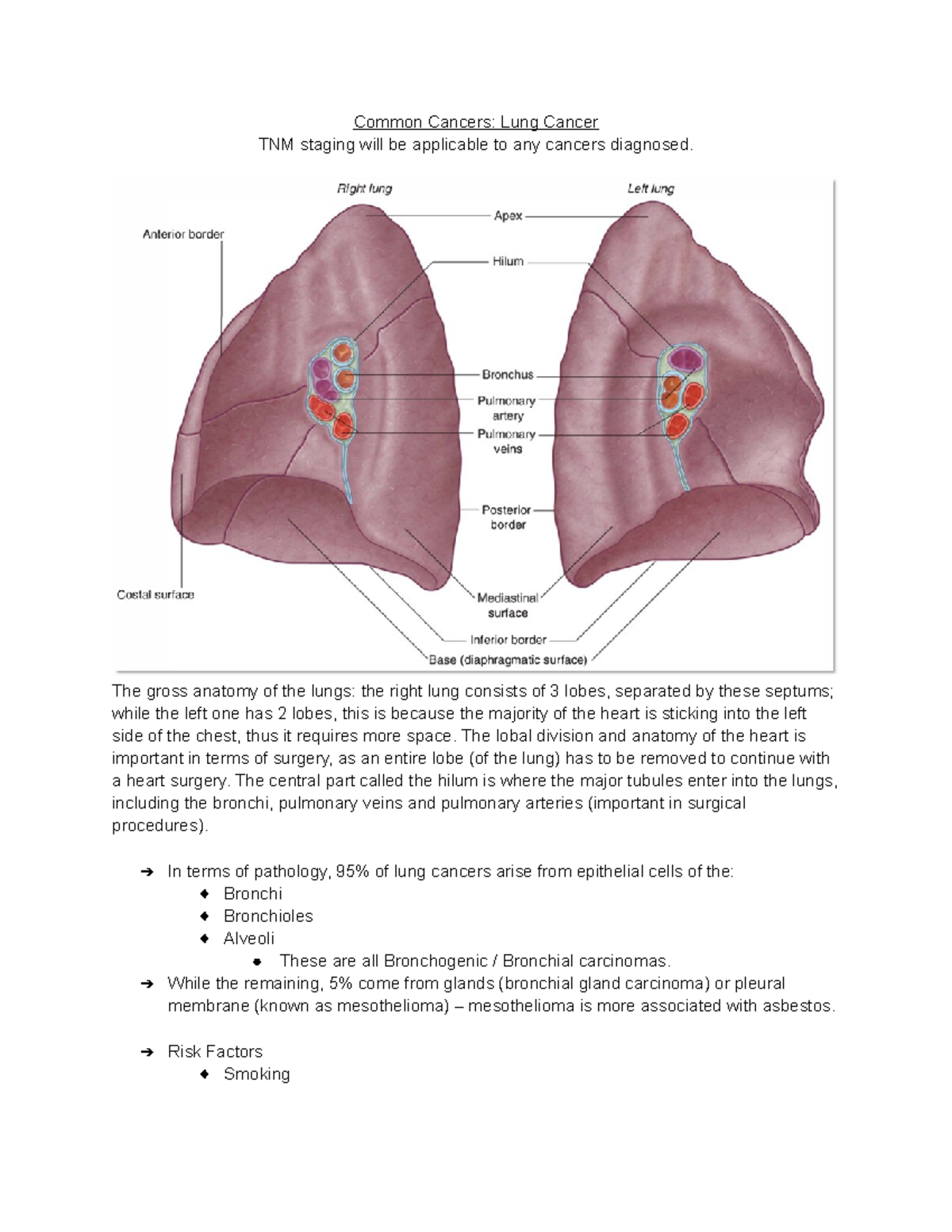 Lung Cancer (CANC 101) - Comprehensive Lecture Notes and Staging - Studocu