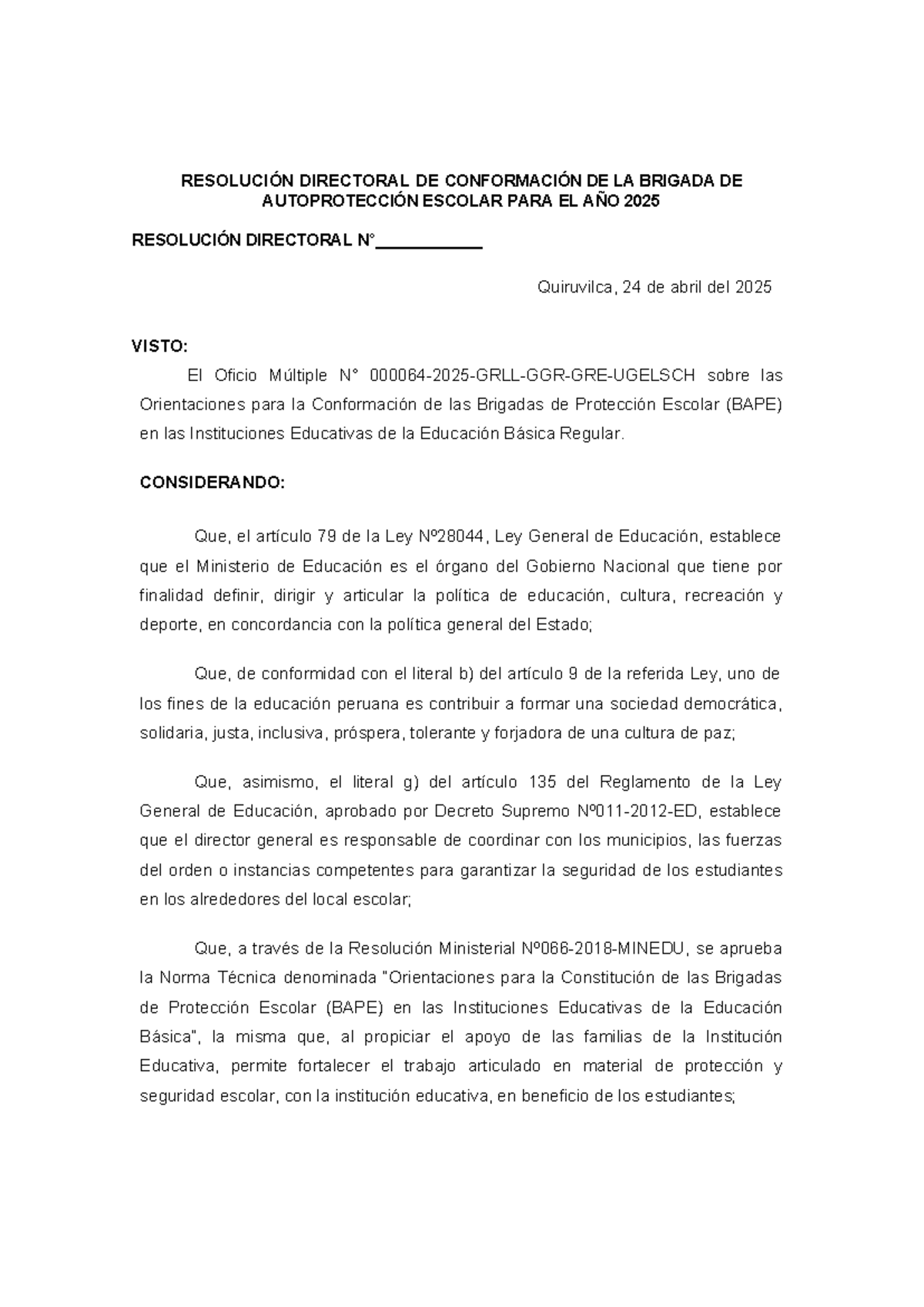 Modelo de Resolución Directoral para BAPE 2025 - Document Preview