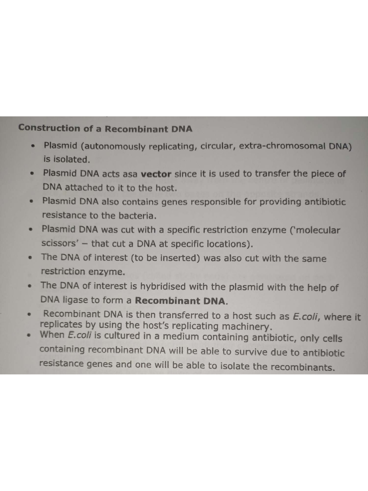 Biology Important Notes: Recombinant DNA Plasmid Construction Overview ...