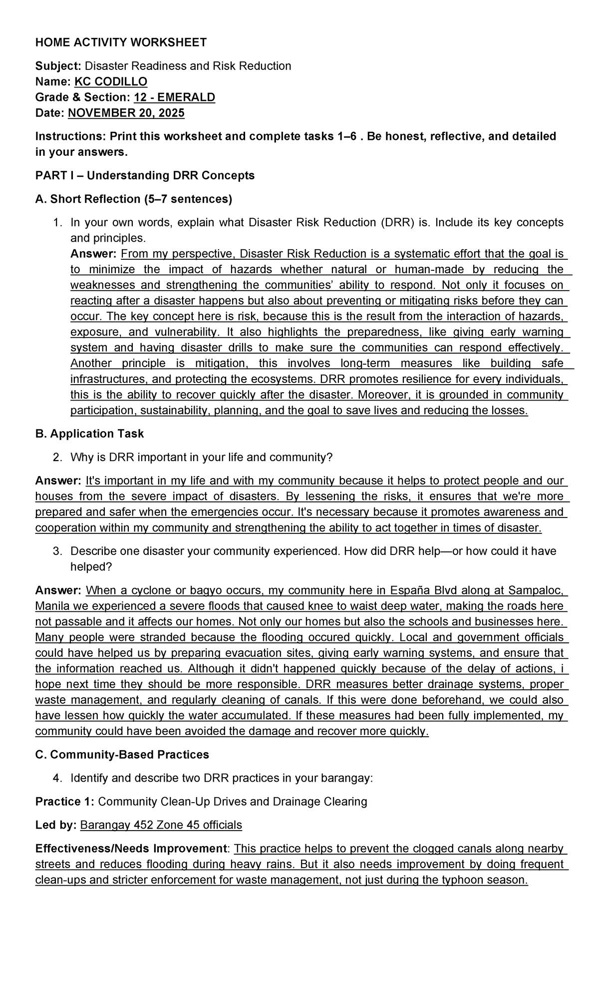 DIRR Activity Worksheet: Disaster Readiness & Risk Reduction (Grade 12 ...
