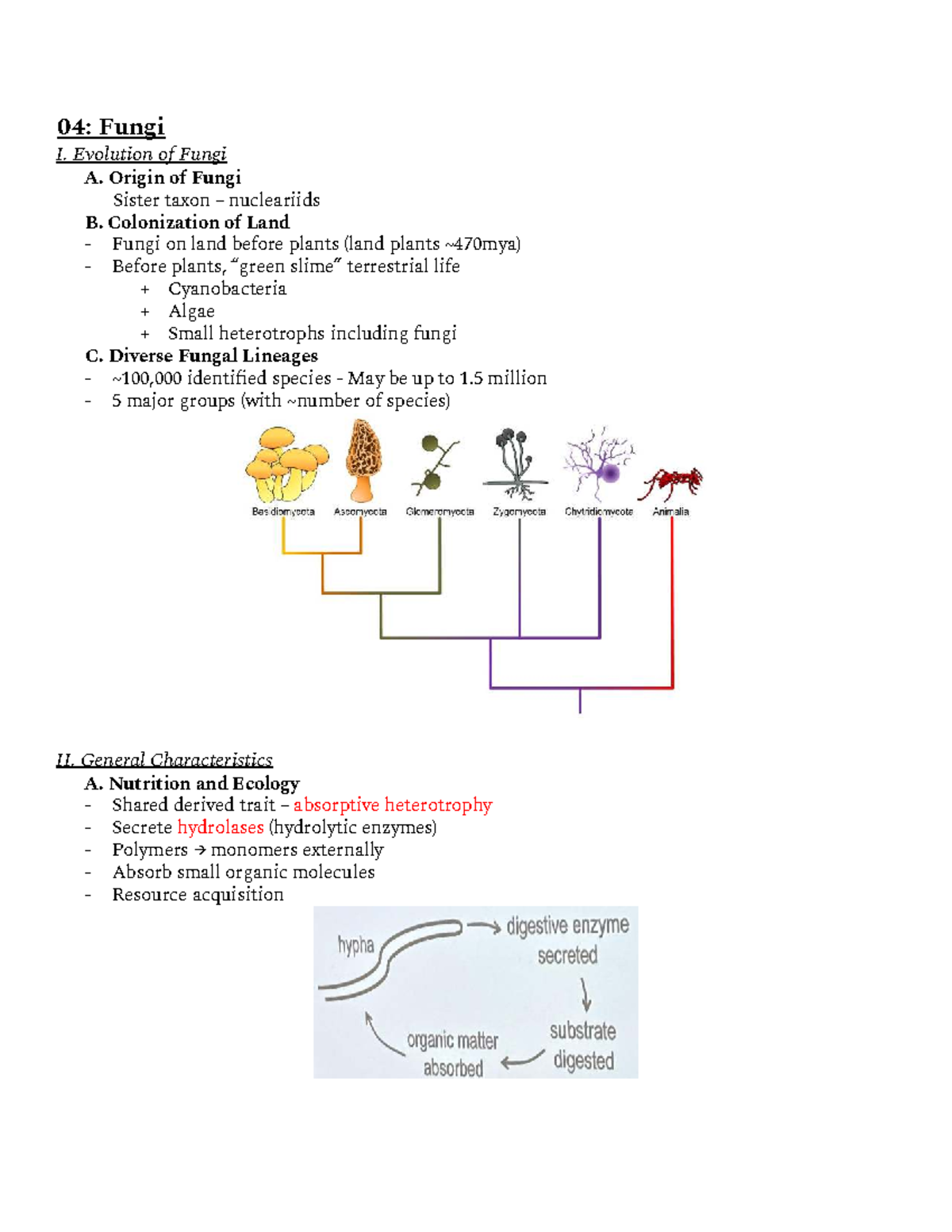 04: Lecture Notes on Fungi - Evolution, Diversity, and Ecology - Studocu