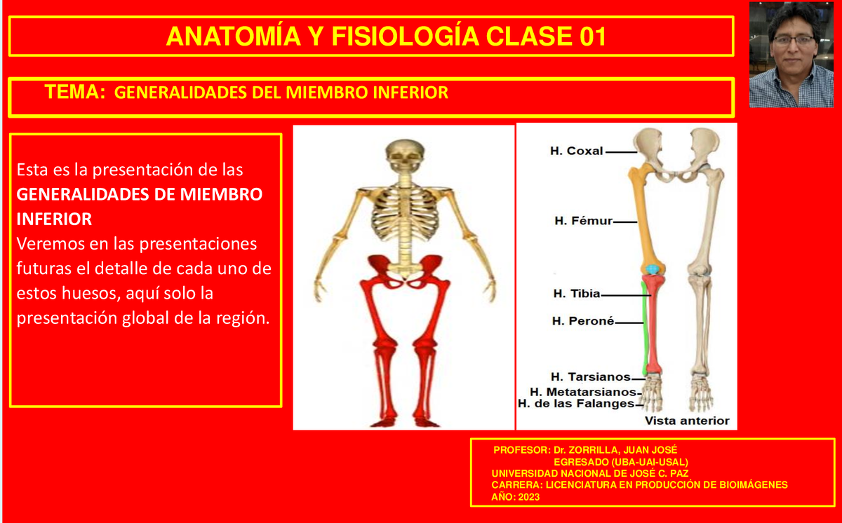 Clase 01- Generalidades DEL M. Inferior 0fc4201ecf90d21612 ...