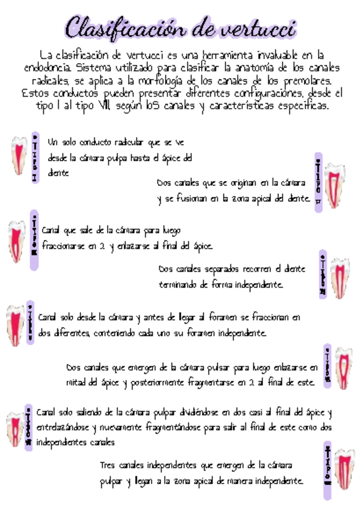 Clasificación de Vertucci para Canales Radiculares en Endodoncia - Studocu