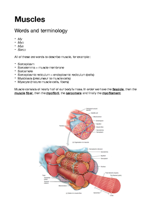 Neural pathways - lecture notes - Learning objectives 1 - what is a ...