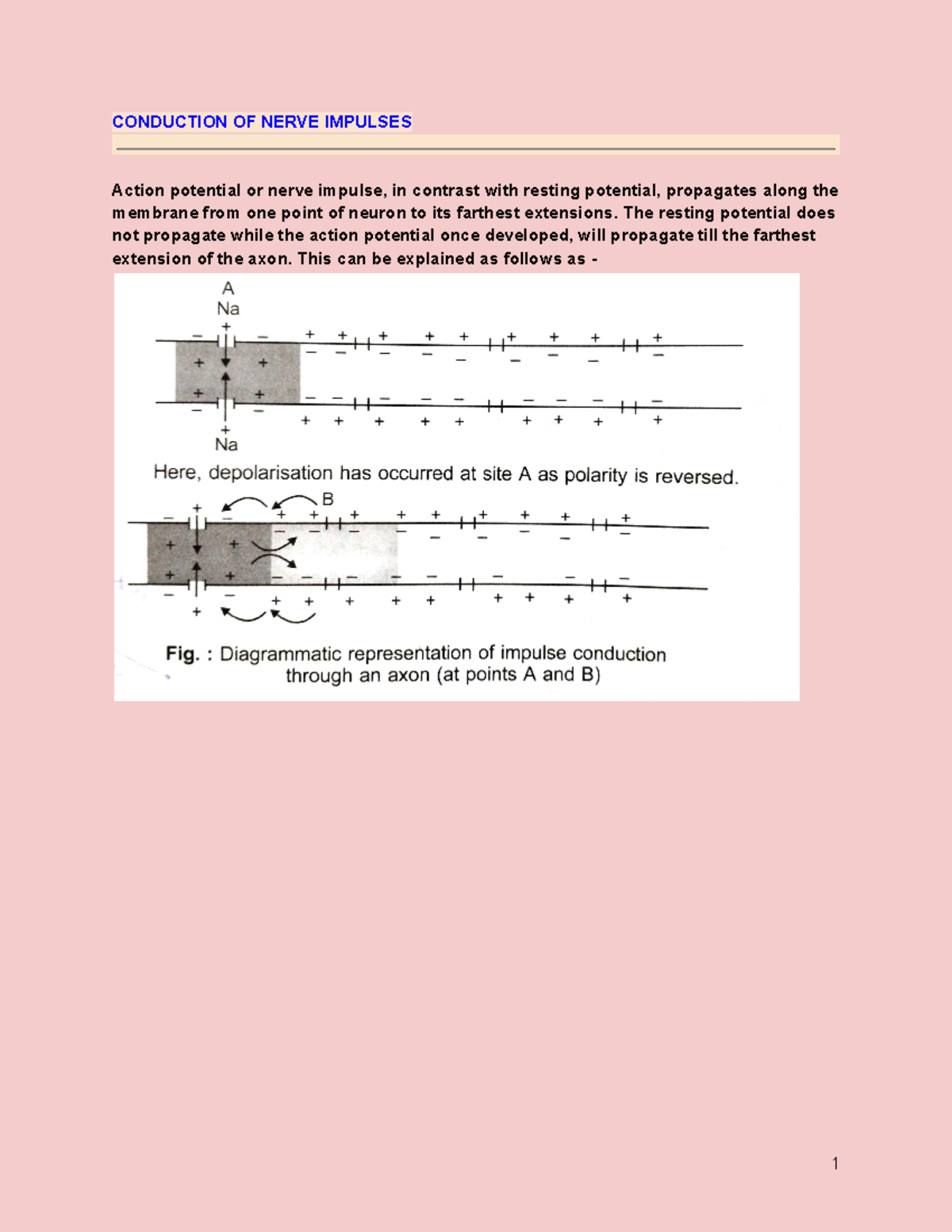 Conduction of nerve impulses ( advance physiology) - CONDUCTION OF ...