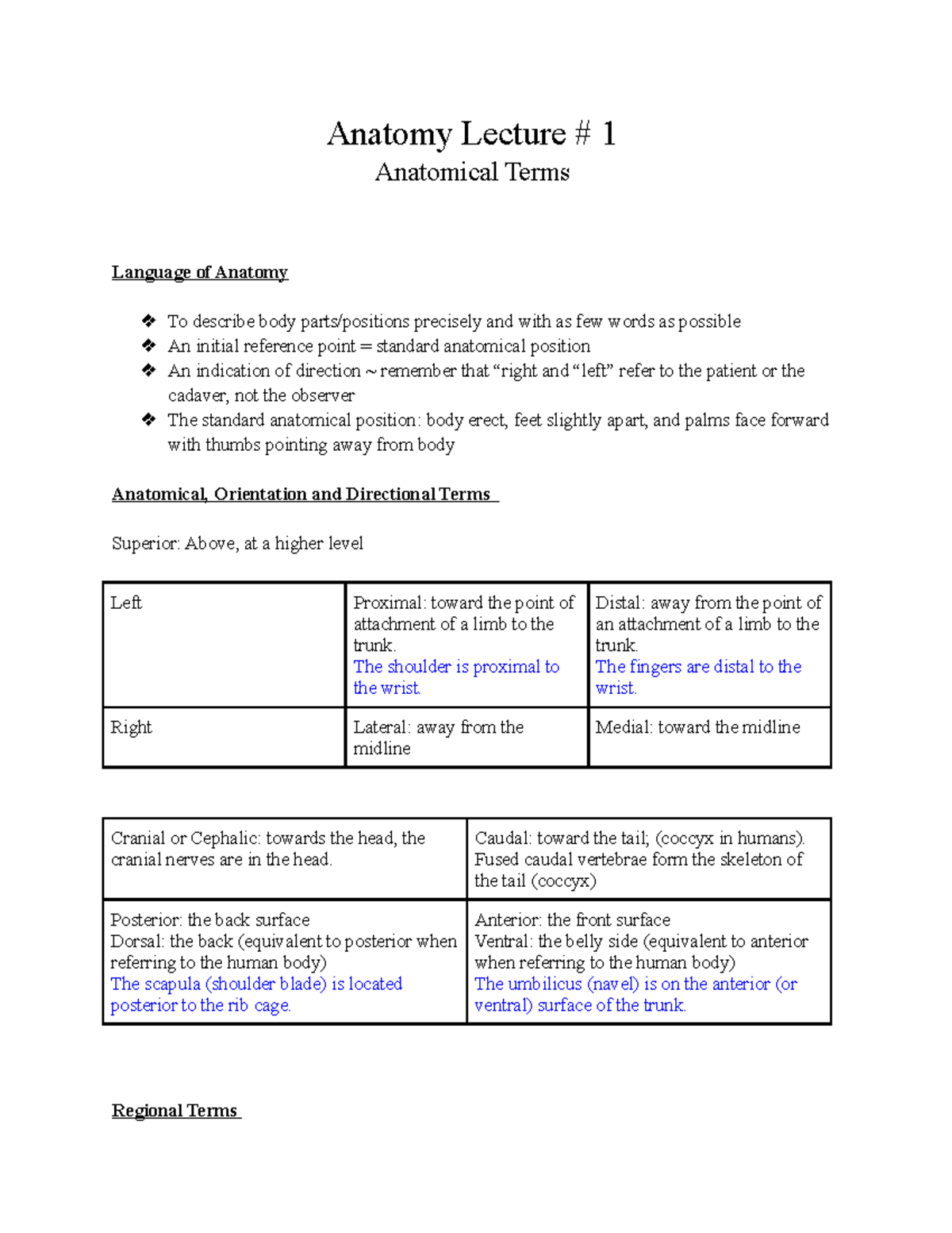 Anatomy Lecture #1: Understanding Anatomical Terms and Body Planes ...