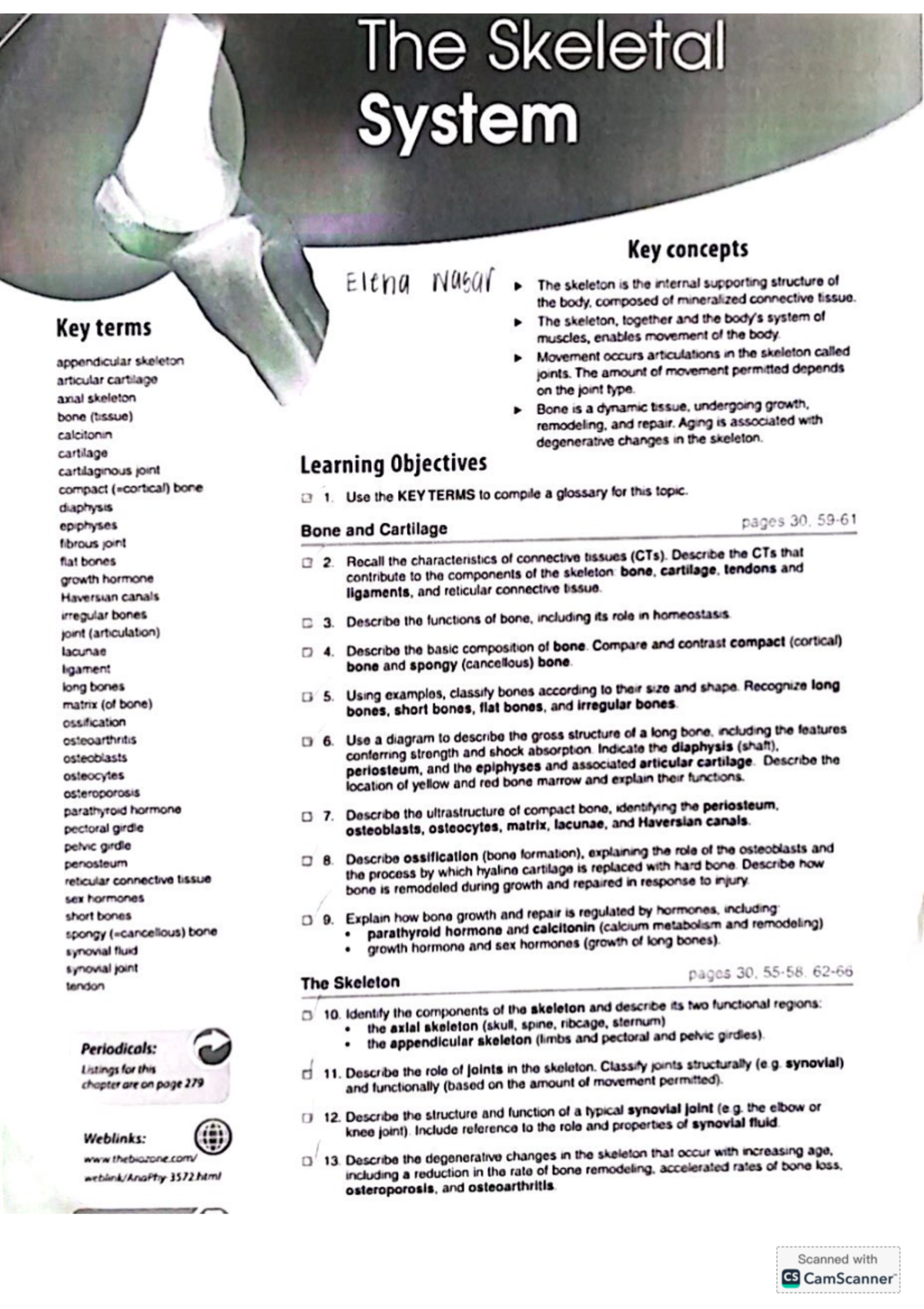 Skeletal System Key Concepts - Chapter Notes for BIO101 Final Exam ...