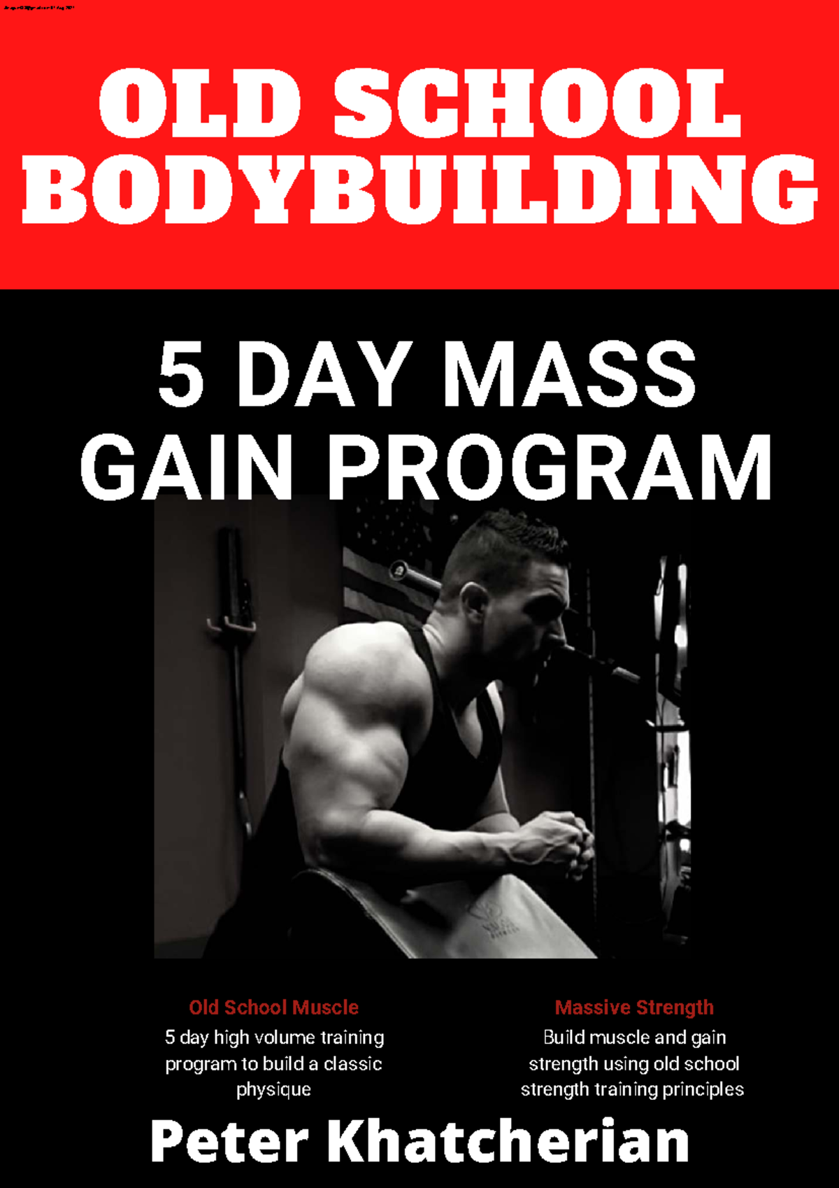 OLD SCHOOL BODYBUILDING: 5 DAY MASS GAIN PROGRAM (MUSCLE 101) - Studocu