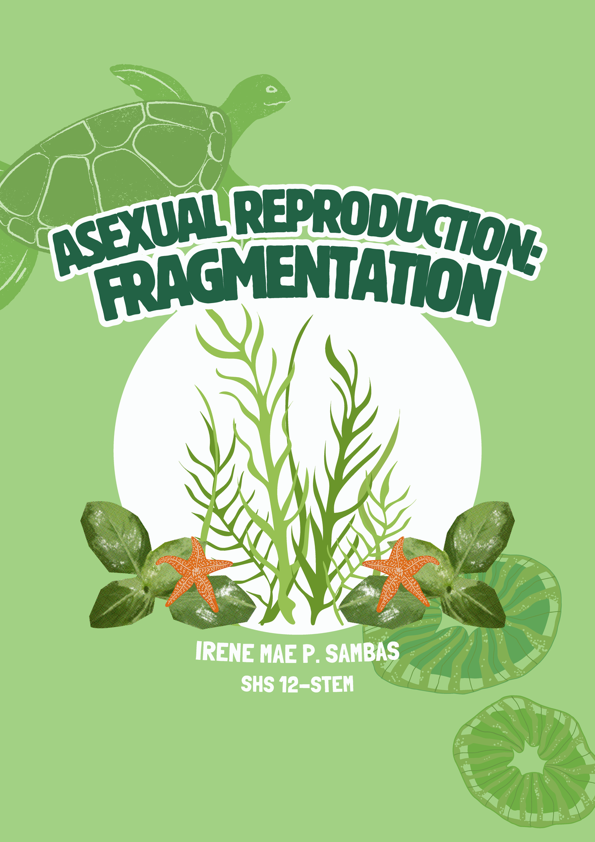 Fragmentation in Planaria and Starfish: Biology 12-STEM Study Notes ...