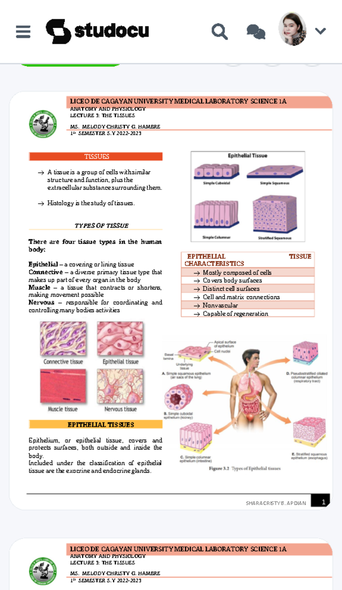 Anatomy-AND- Physiology - Anatomy AND Physiology Lecture 3 THE Tissues ...
