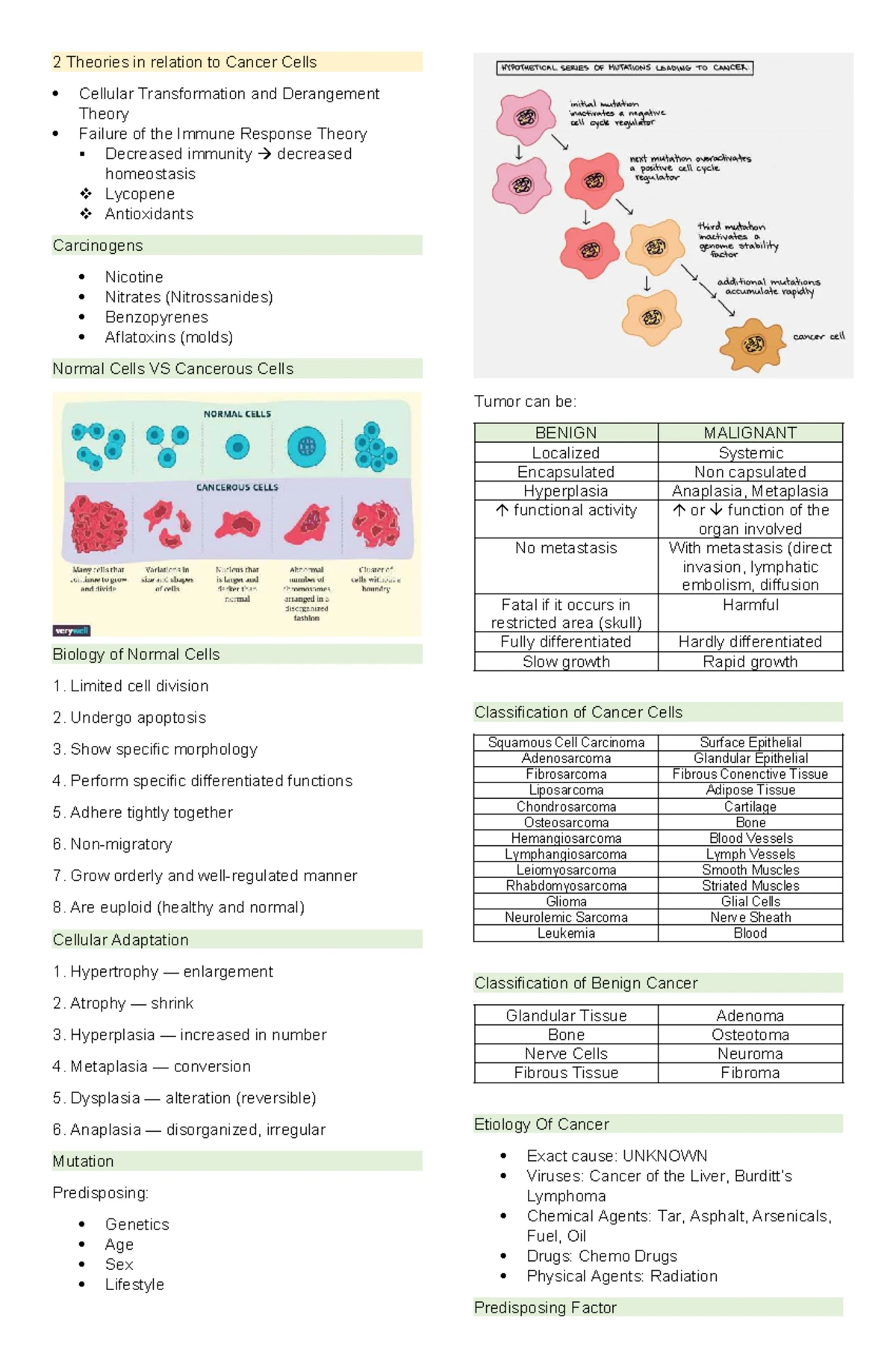 HEPATITIS A, B,C, D, E. Differentiation Tables - Student Nurse: Julie ...