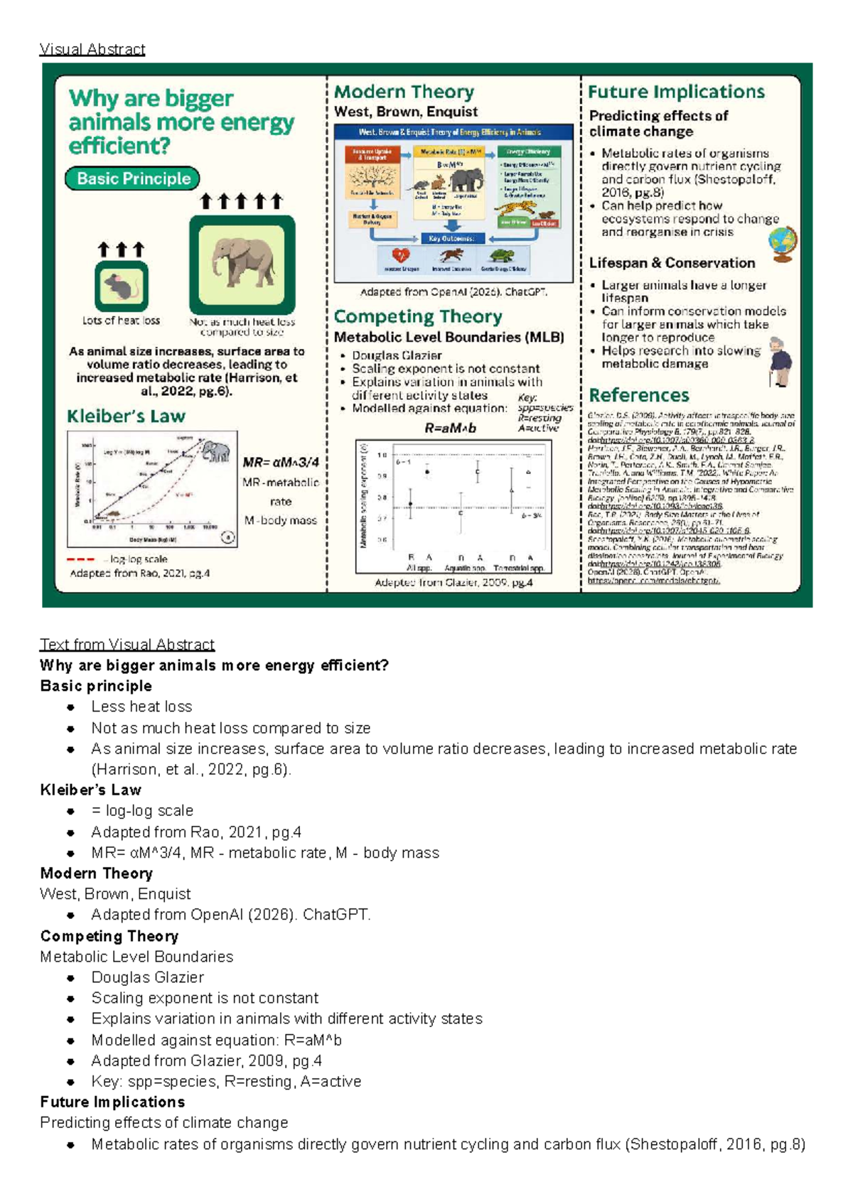 BABS1201 Visual Abstract: Energy Efficiency in Larger Animals - Studocu