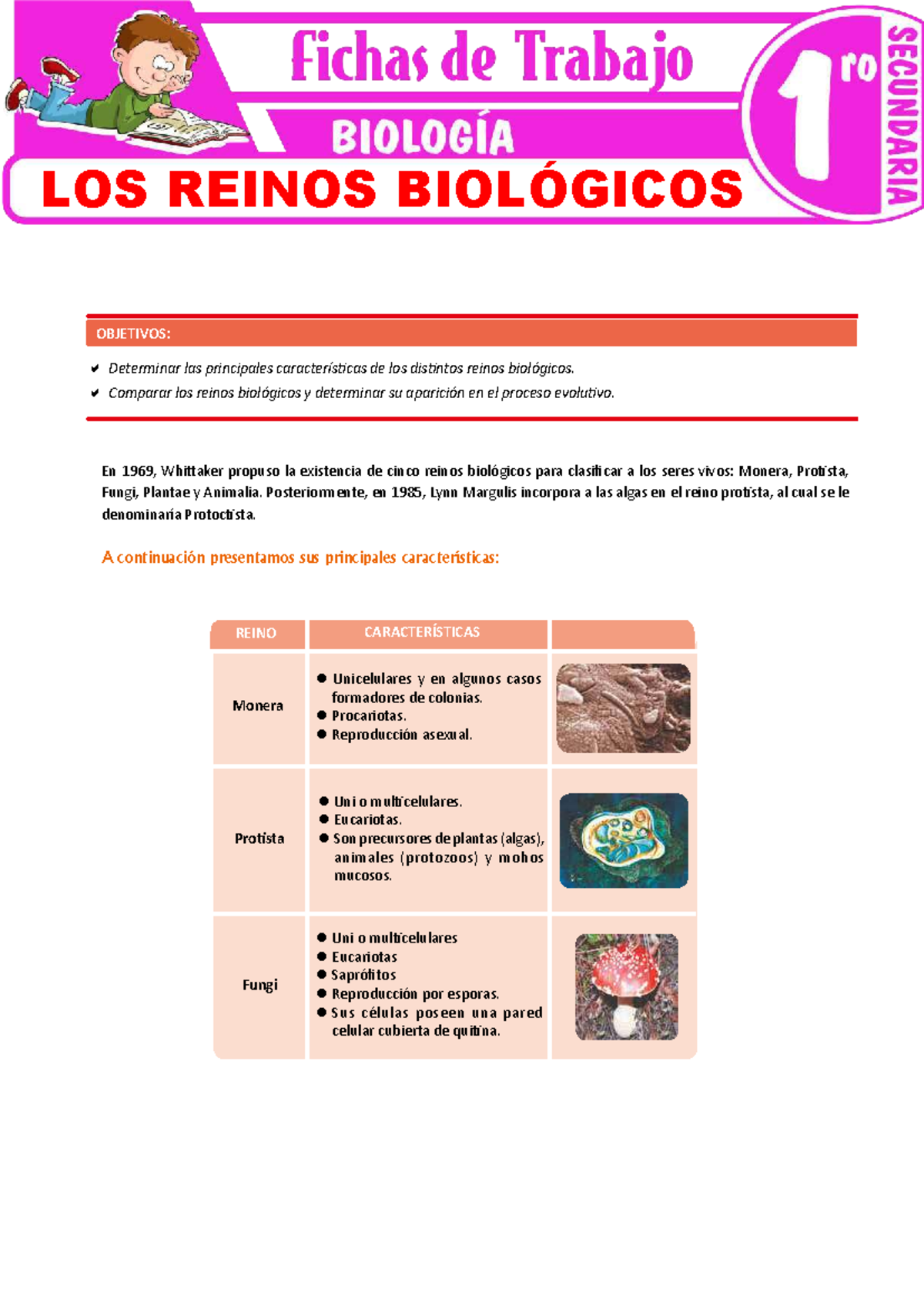 LOS REINOS BIOLÓGICOS: Características y Comparaciones - 1er Grado - Studocu