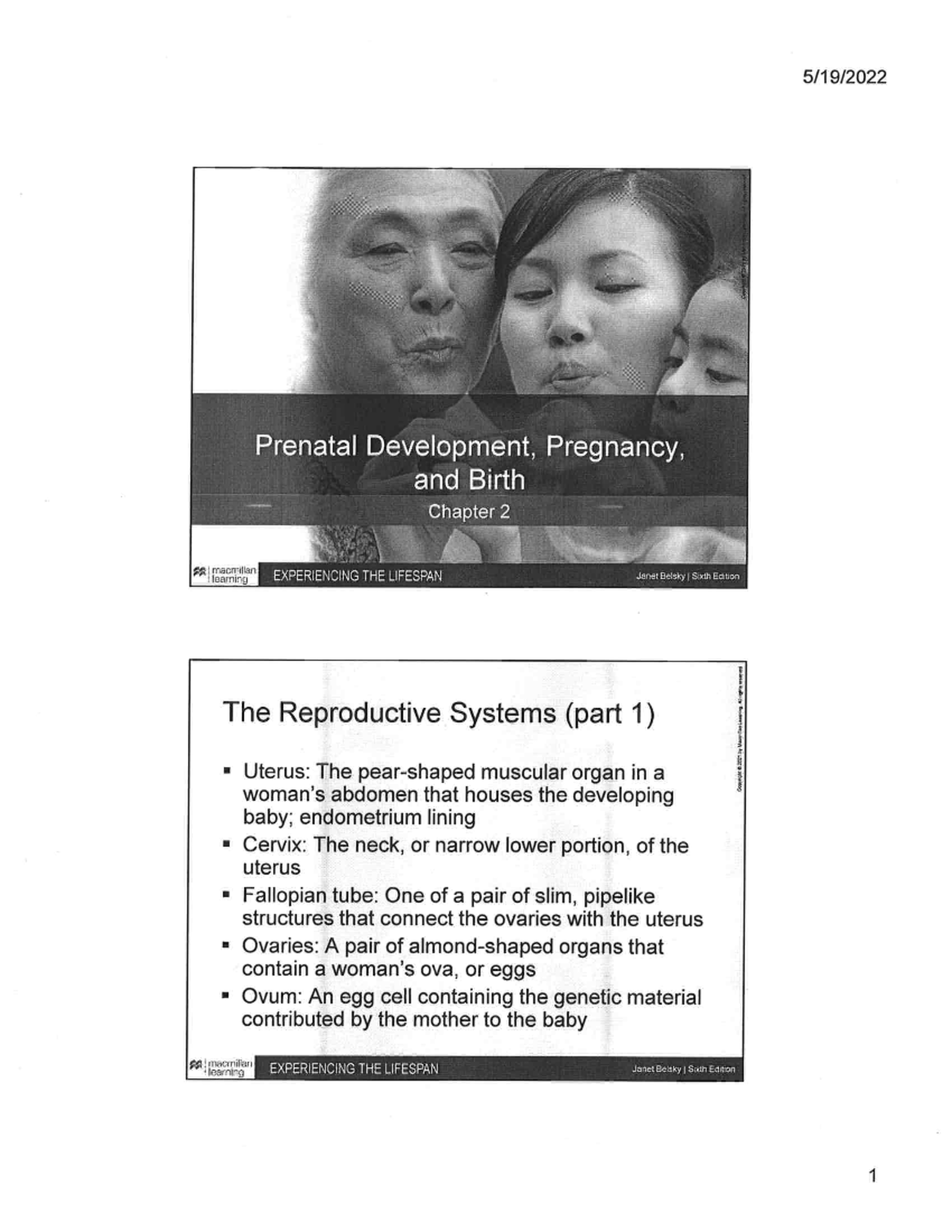 Lecture Notes on Reproductive Systems and Prenatal Development - Studocu