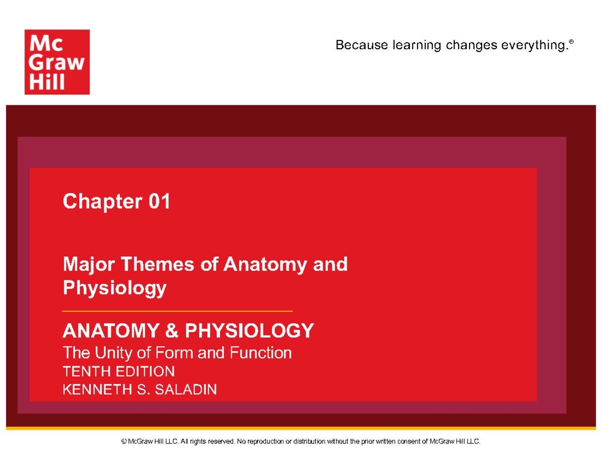 Anatomy And Physiology Overview Major Themes Anatomy Physiology