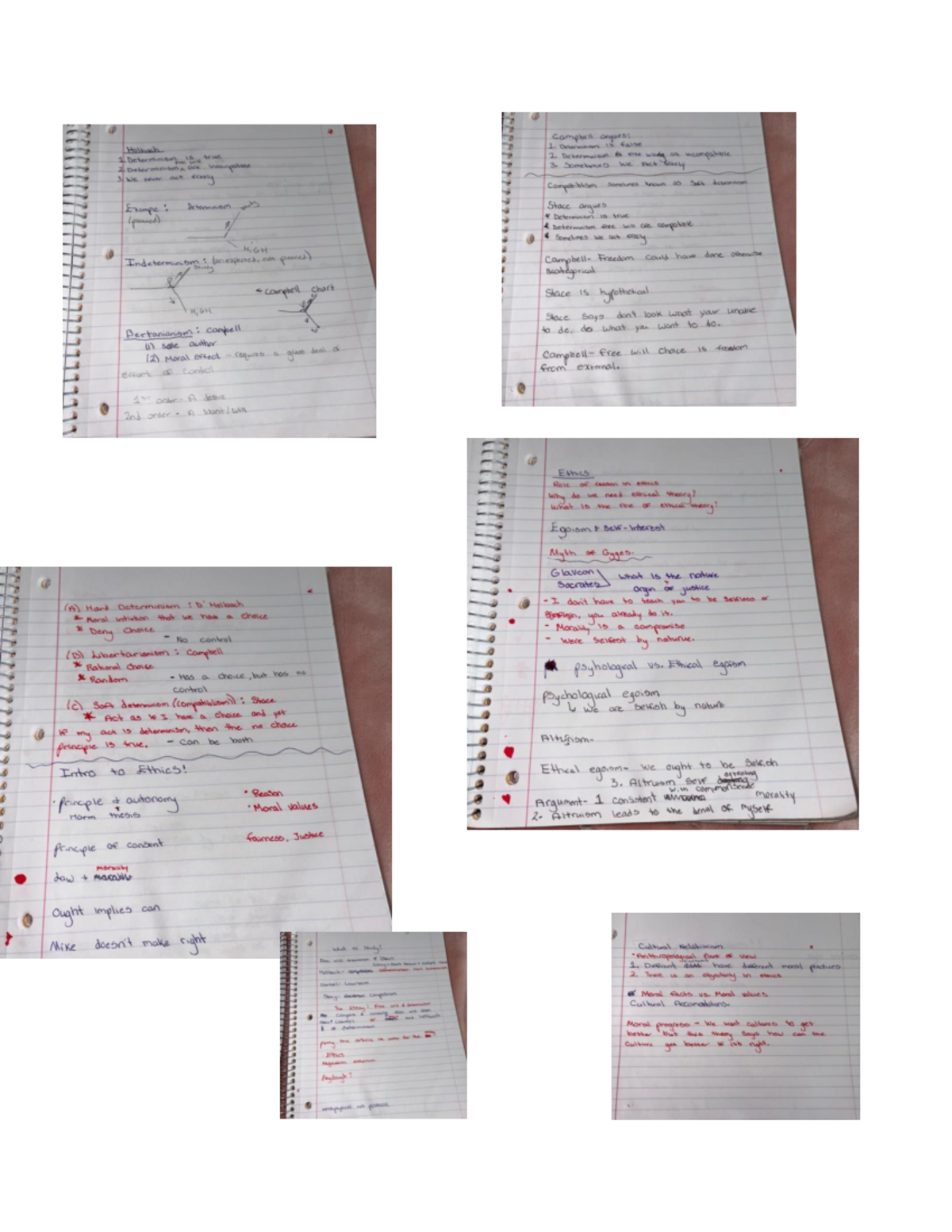 Final Exam Review Notes for BIO 101: Ethics and Determinism Concepts ...