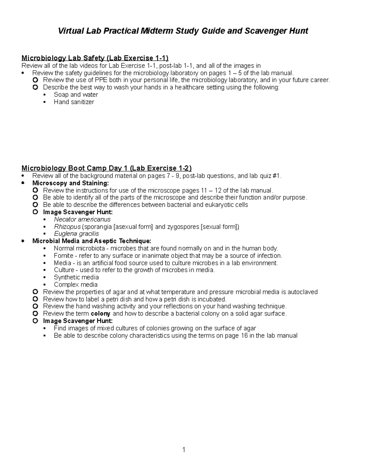 Microbiology 101: Midterm Lab Practical Study Guide & Scavenger Hunt ...