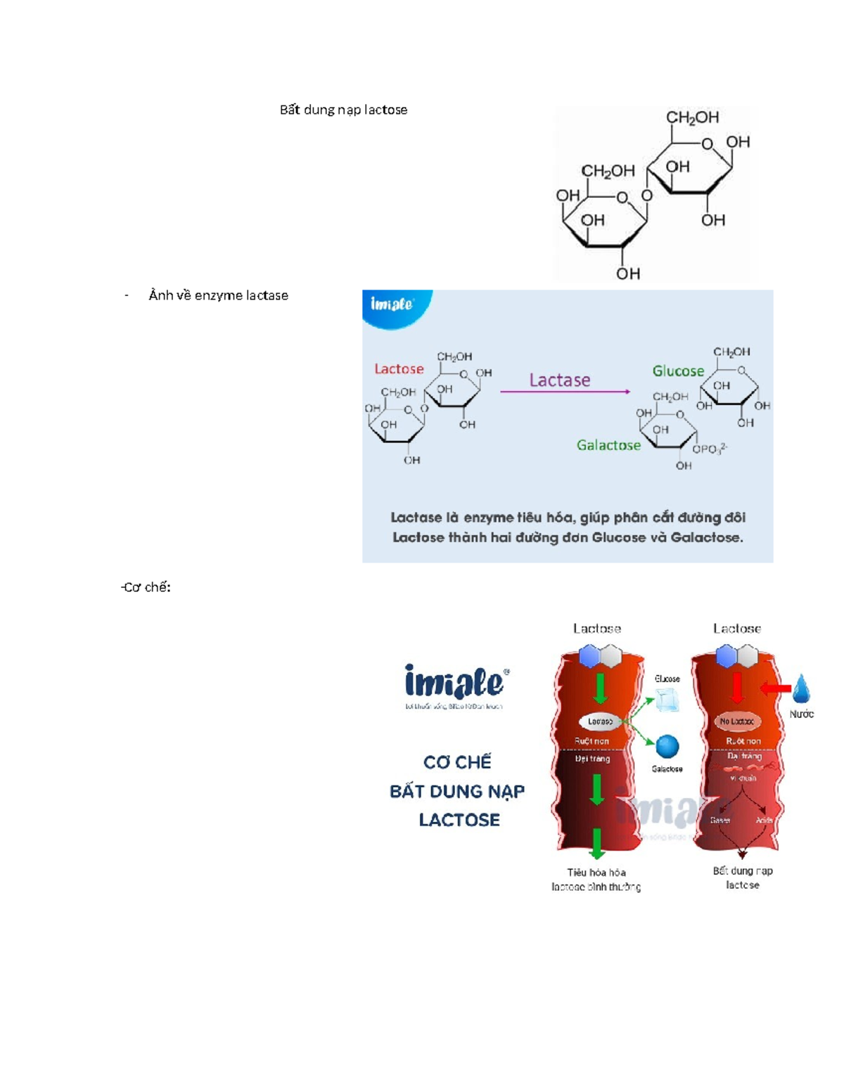 Bt dung np lactose - Phn loi, triu chng v c ch (Lactose  Intolerance) - Studocu