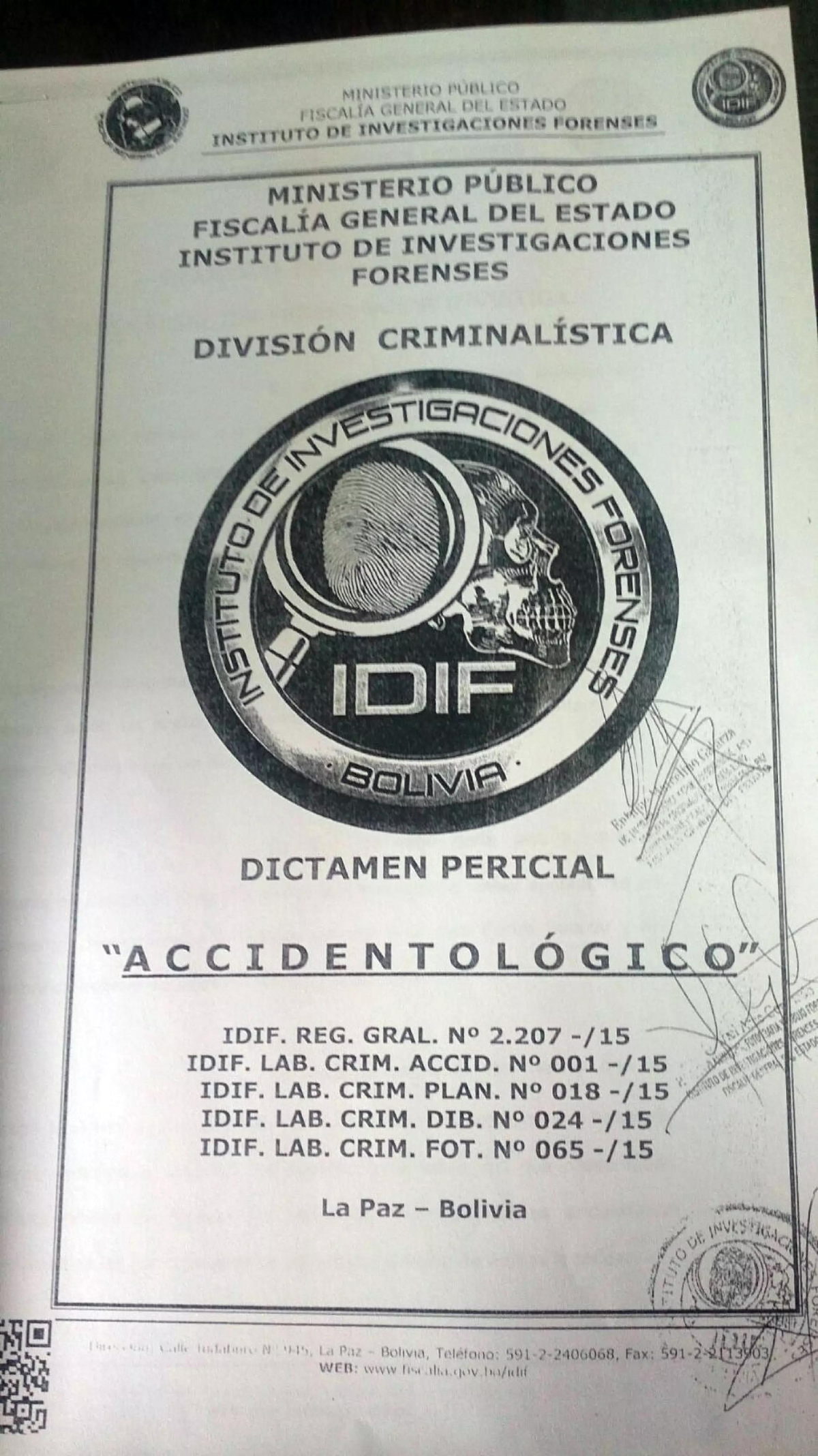 Dictamen Pericial IDIF: Caso Kushner - Análisis de Colisión - Document Preview