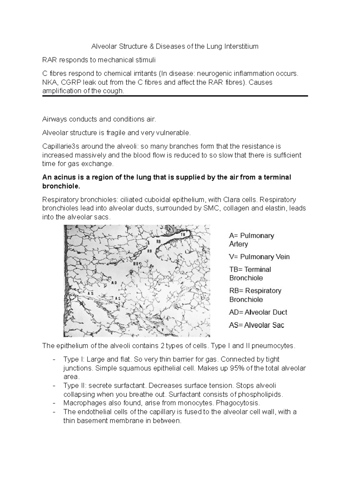 Alveolar Structure and ILD - Alveolar Structure & Diseases of the Lung ...