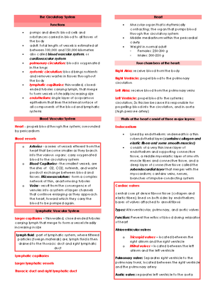 Connective Tissue - HHIS 221: Human Histology – Laboratory Activity 3 ...