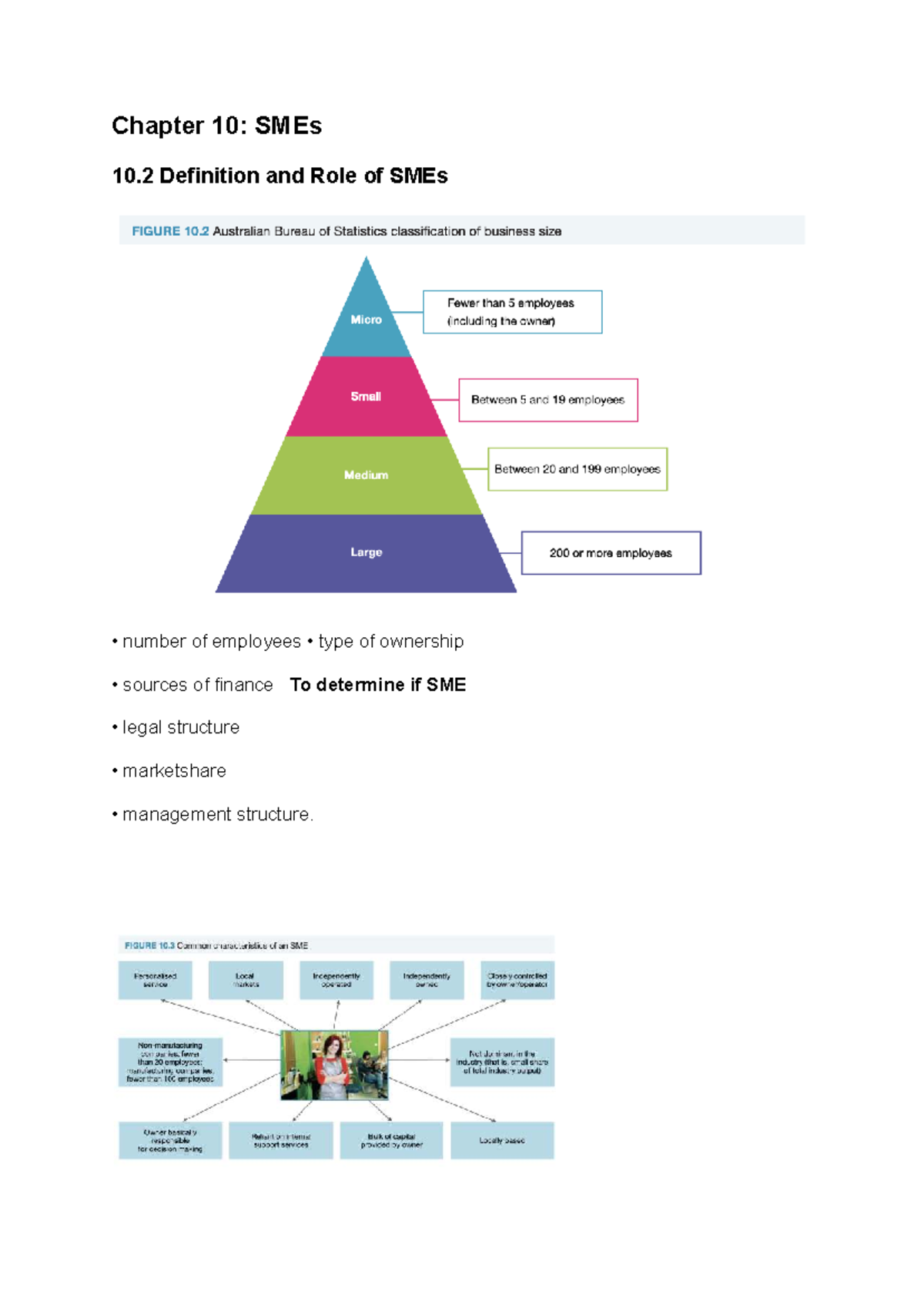 Year 11 Business Studies: Chapter 10 - Understanding SMEs and Their ...