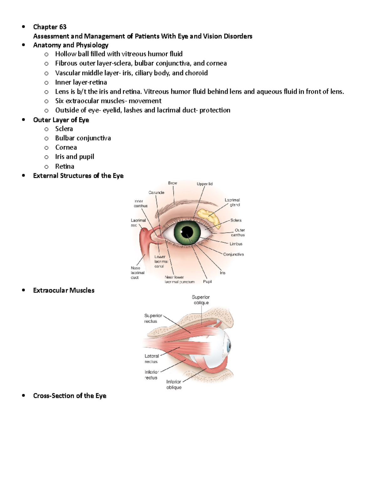 Ch. 63 Eyes - Key Lecture Notes on Eye Disorders and Nursing Management ...