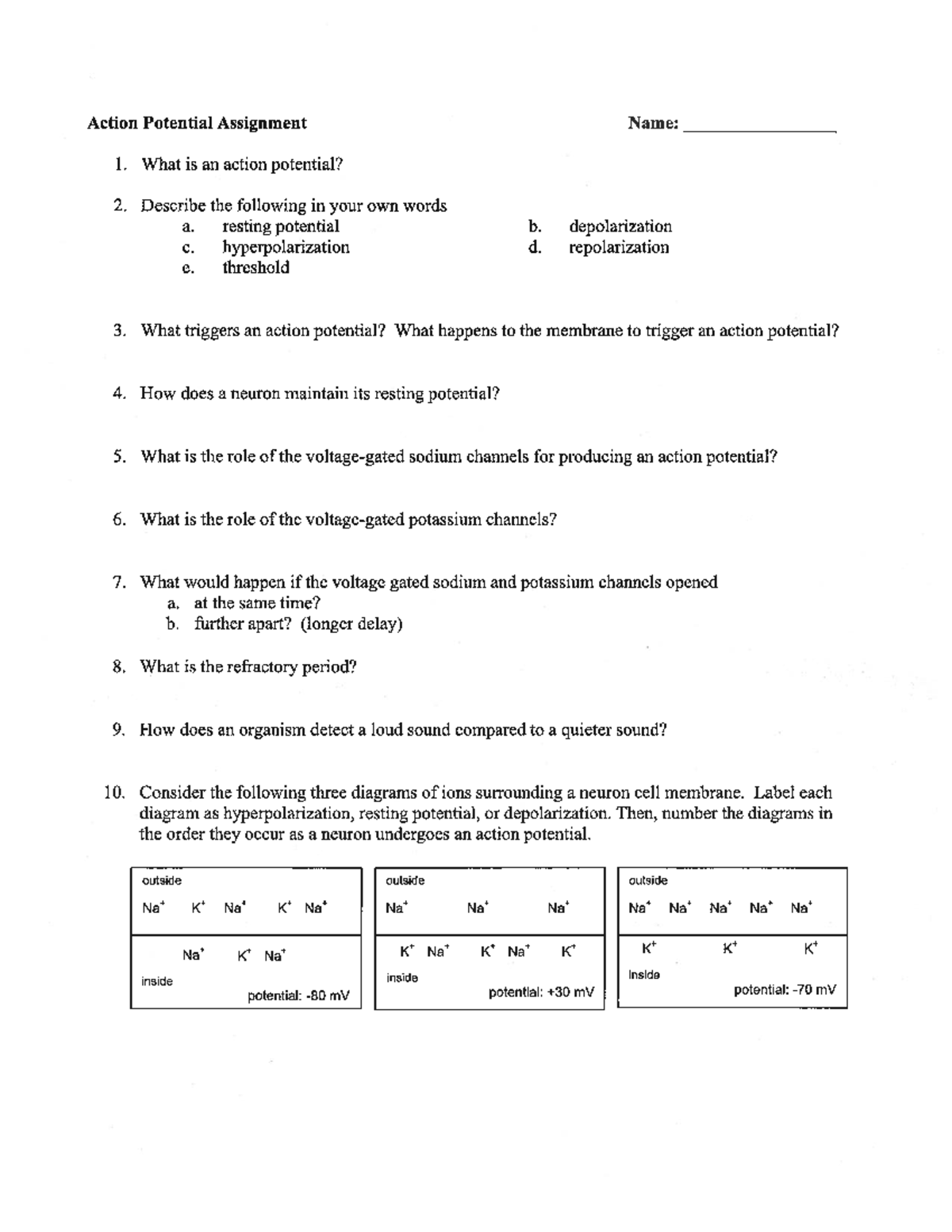 Action Potential Assignment: Understanding Neuron Function - Studocu