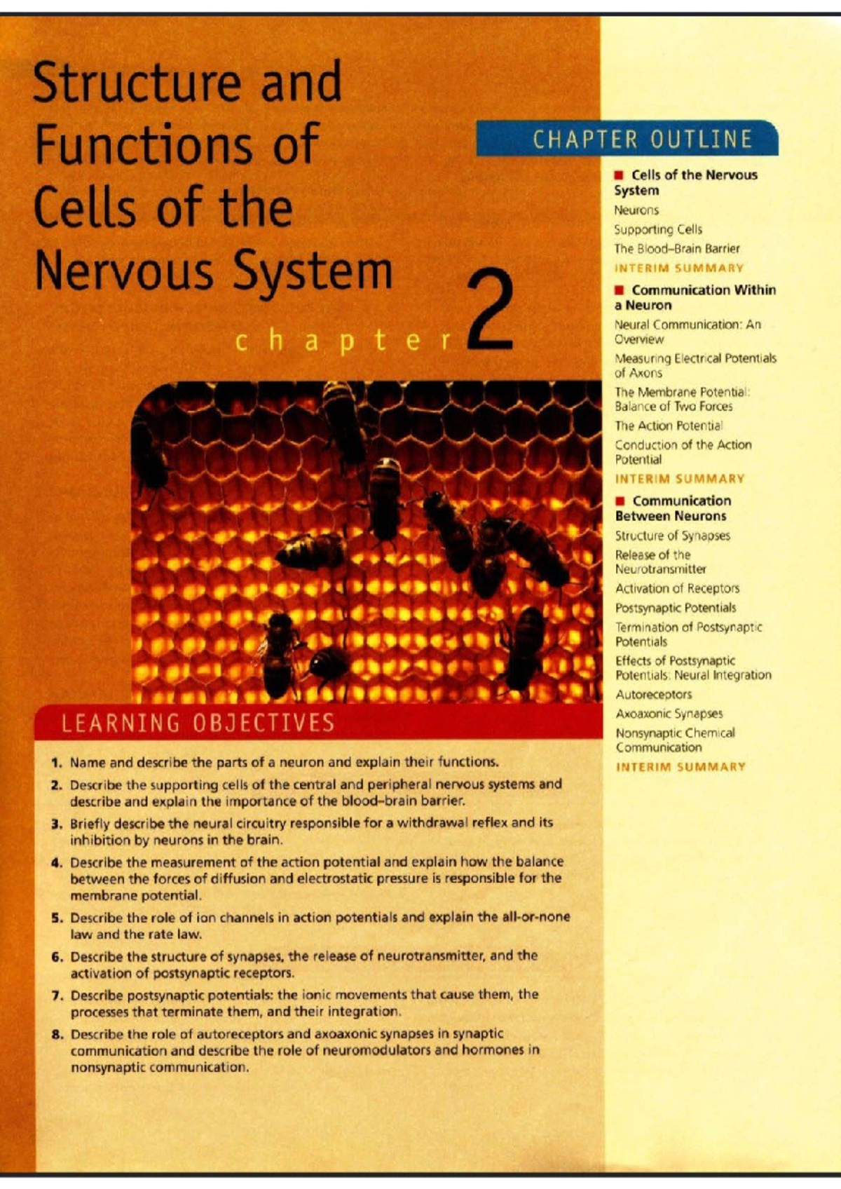 Unit 2: Structure and Functions of Cells in the Nervous System ...