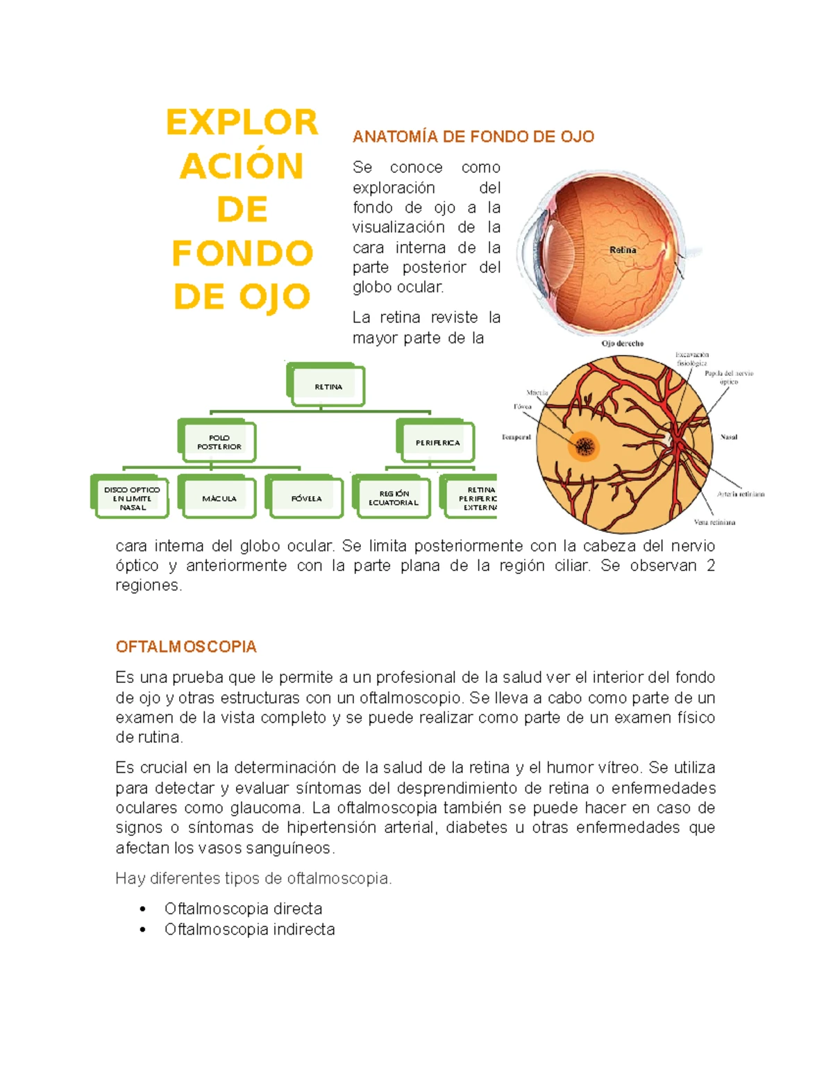 Exploración del Fondo de Ojo: Técnicas y Funcionamiento del ...