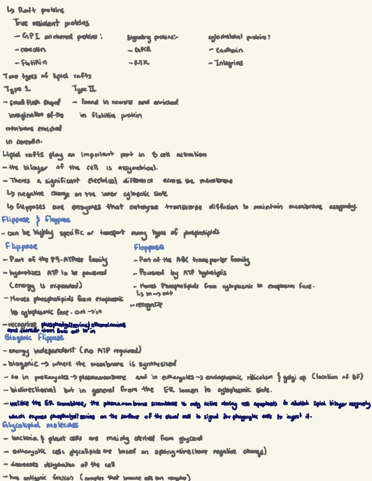 CELL Biology - Lecture Notes on Membrane Transport and Proteins - Studocu