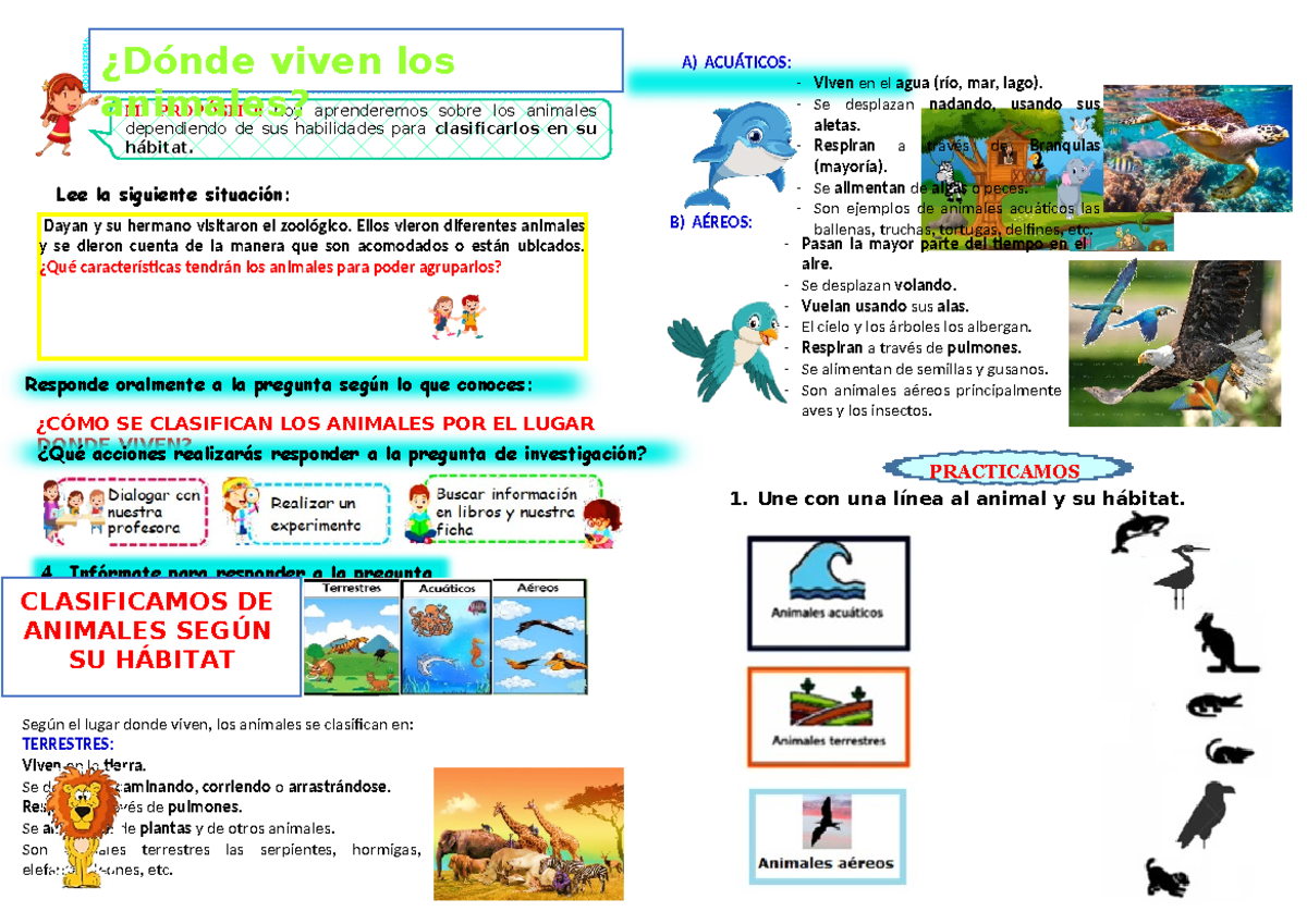 Blog De Tercero Los Animales Segn Su Hbitat
