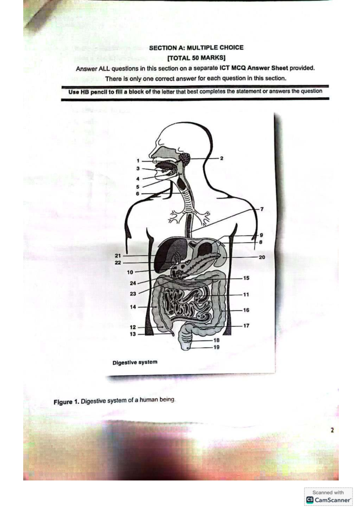 EDNS212 FINAL EXAM - Multiple Choice & Short Questions on Digestive ...