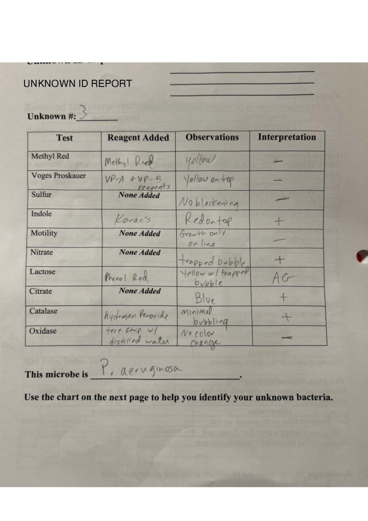 Unknown Lab Report - 806-197 - A . *, ,!...._.»,.!.»_ ” 3 - Studocu