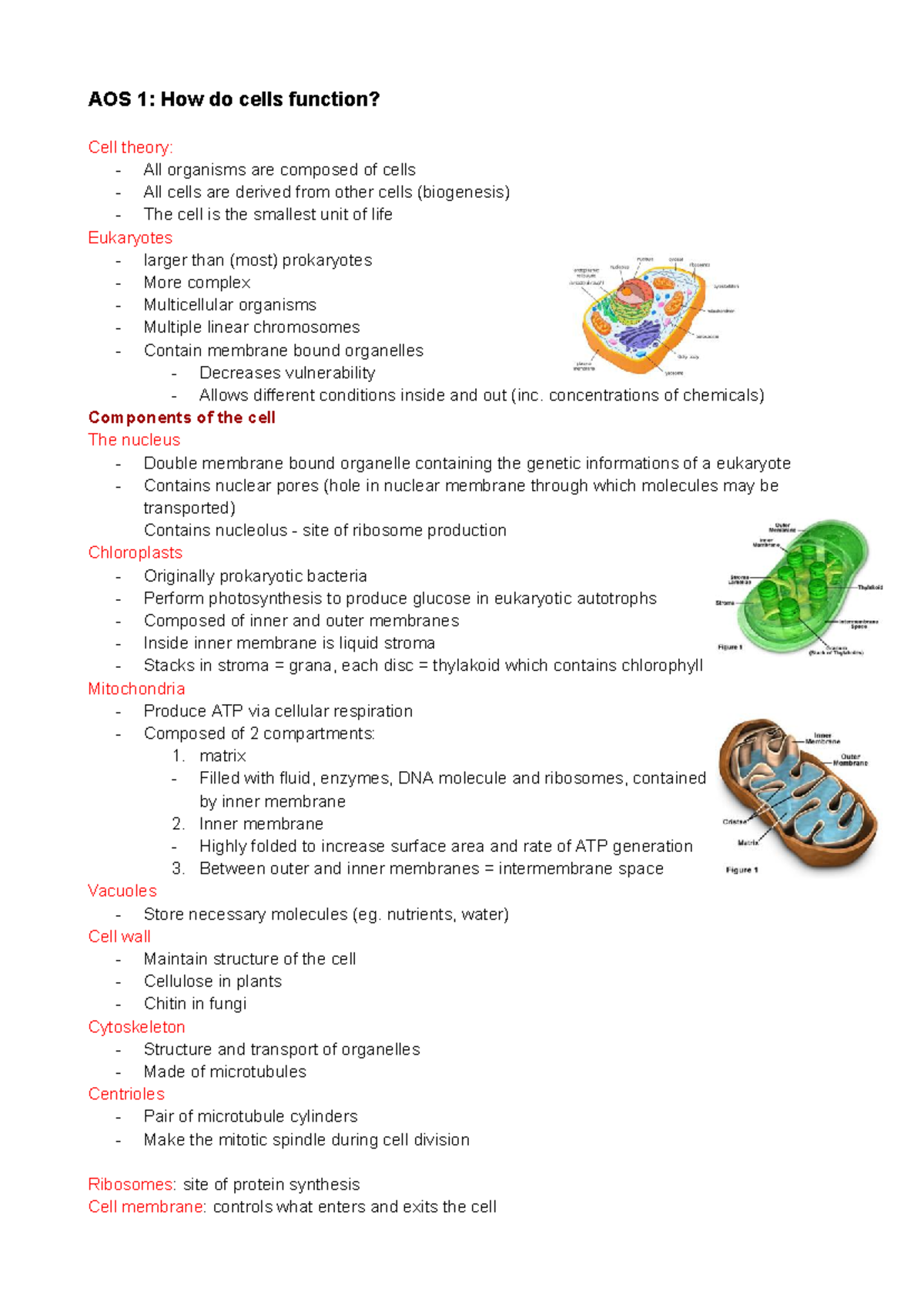 AOS 1: Cell Function and Structure - Comprehensive Biology Summary ...