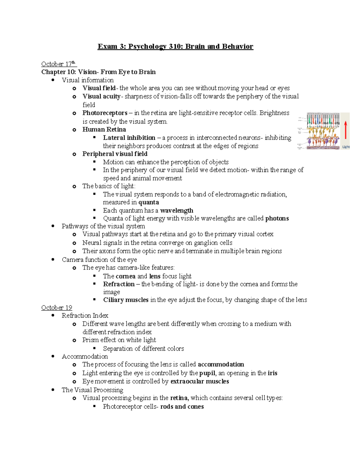 Exam 3 Study Notes: PSYCH 310 - Brain and Behavior Insights - Studocu