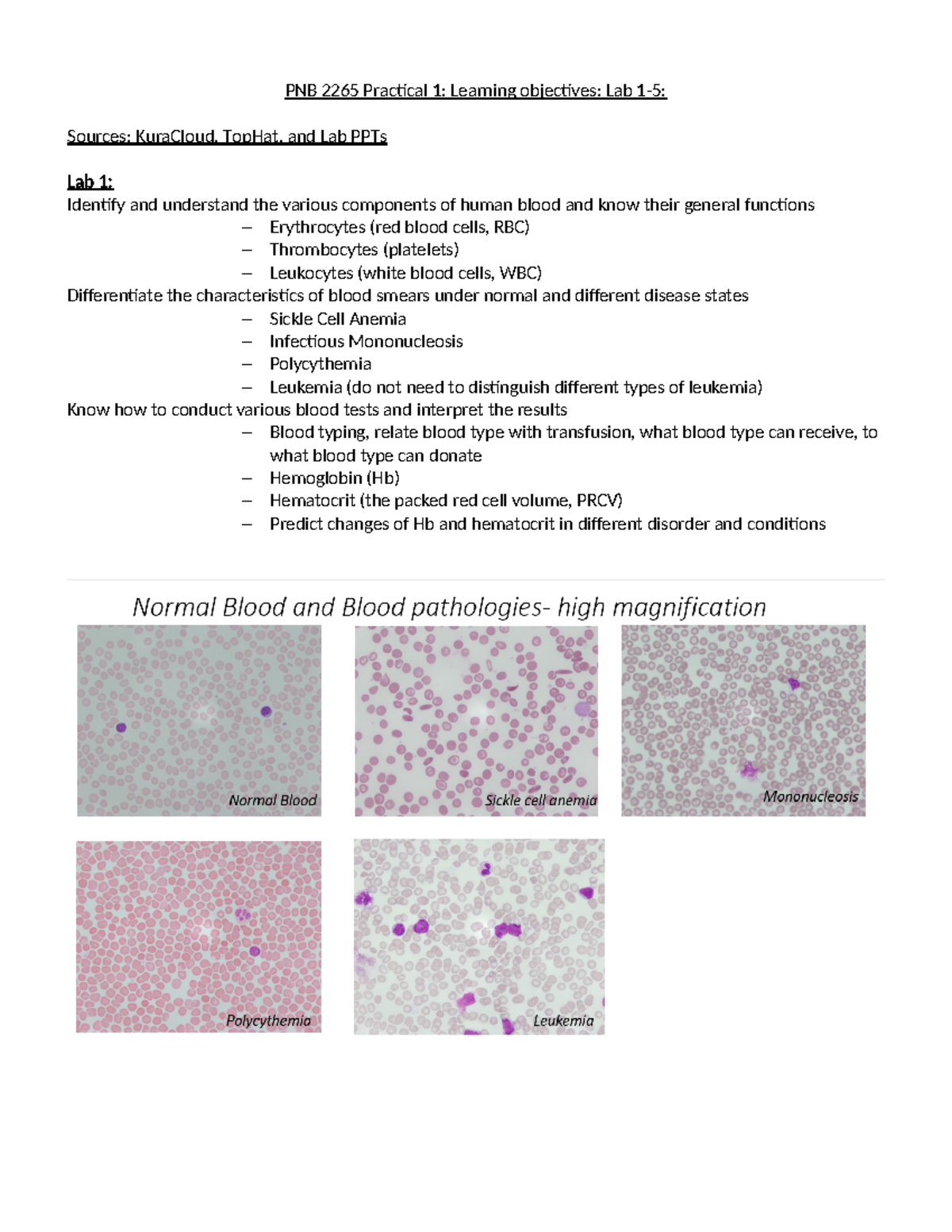 SP26 PNB 2265 Practical 1: Blood Components & Cardiovascular Lab ...