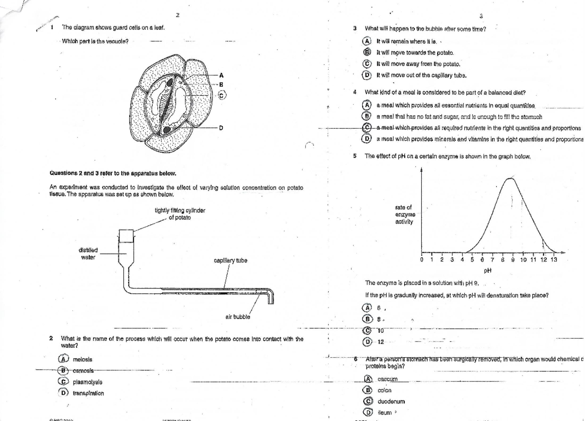 Biology PP1 2010H: Guard Cells, Enzymes, and Nutrient Absorption - Studocu