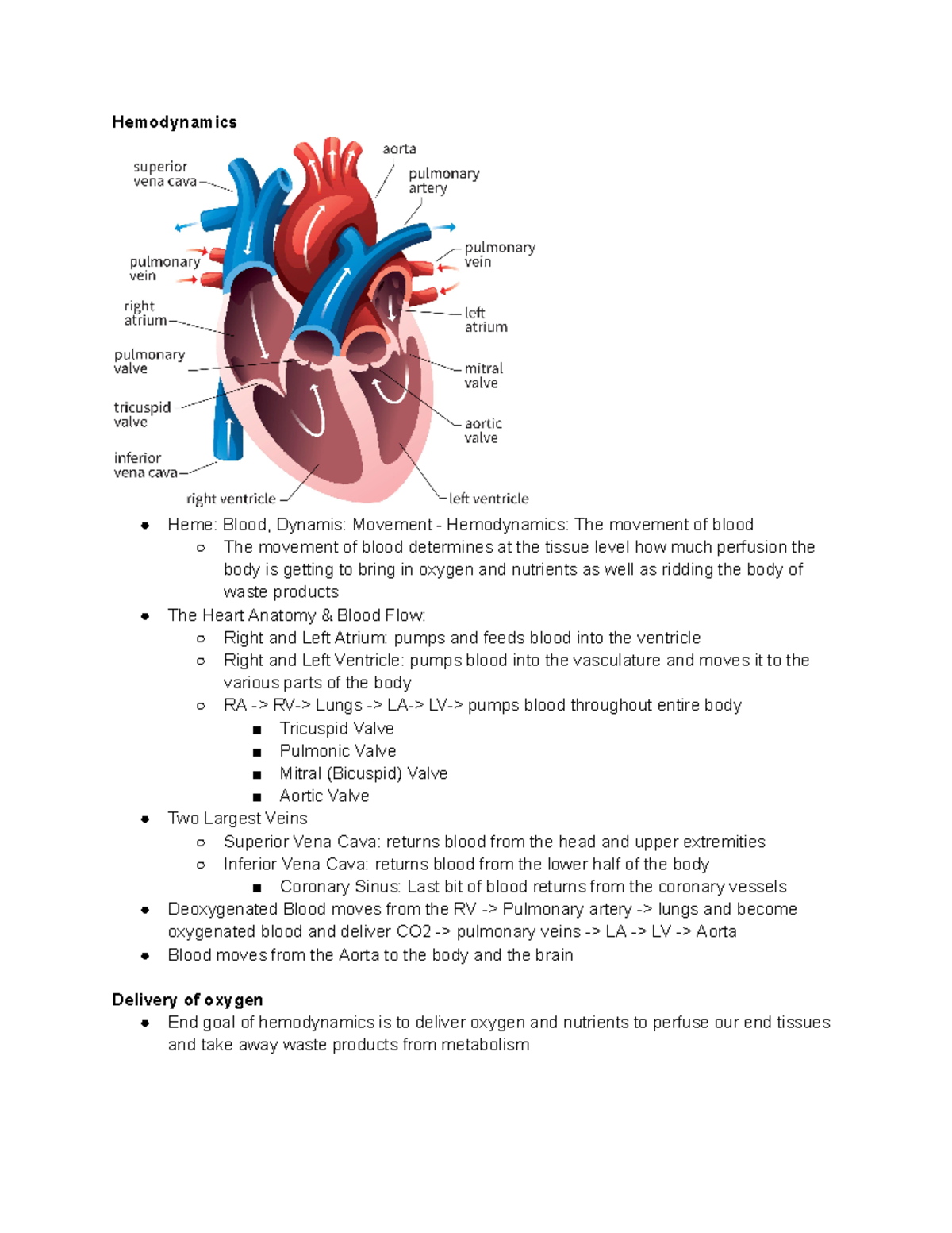 Module 1 Hemodynamics: Essential Notes on Blood Movement and Function ...