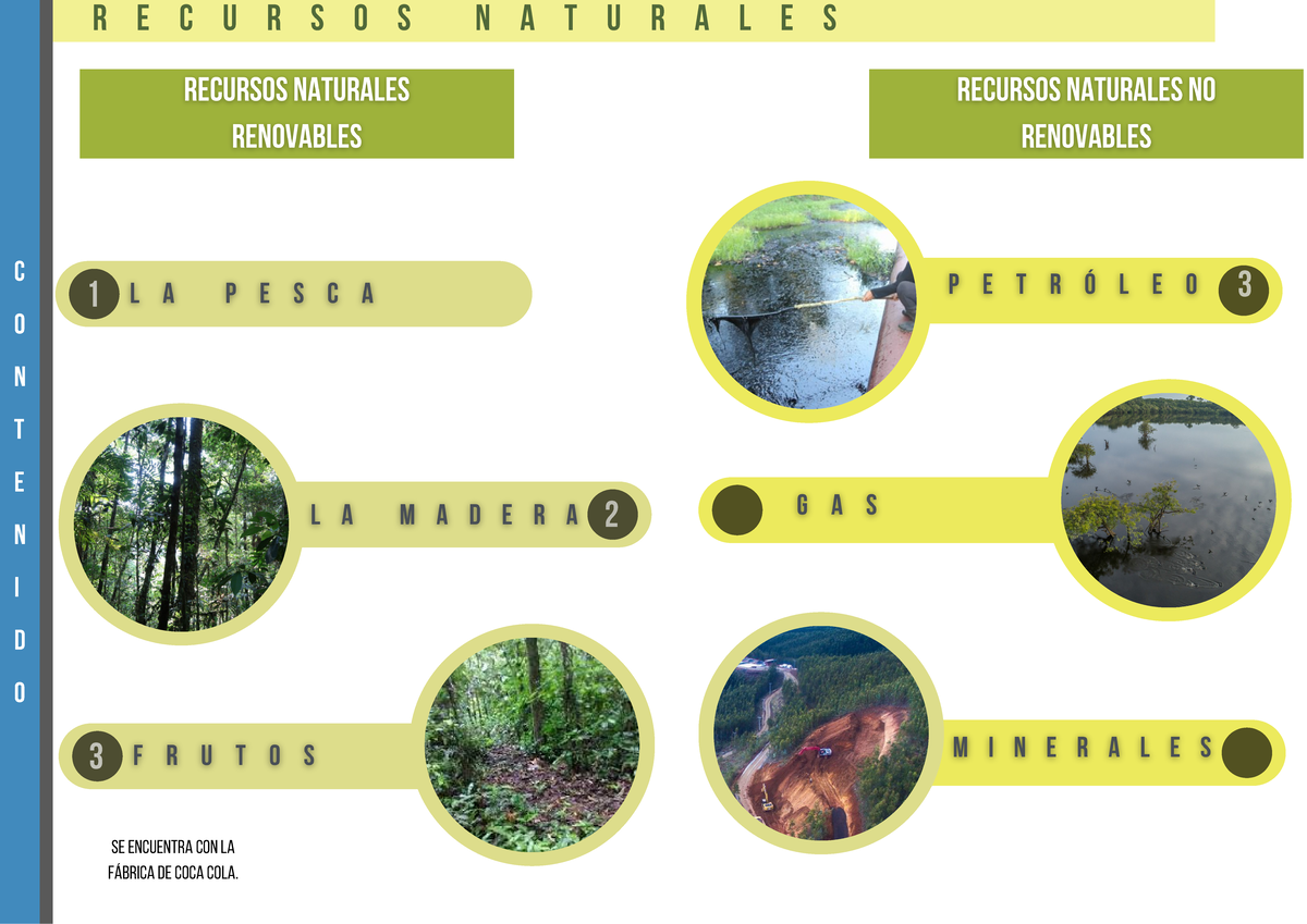Bosque aluvial - 2 C O N T E N I D O R E C U R S O S N A T U R A L E S ...